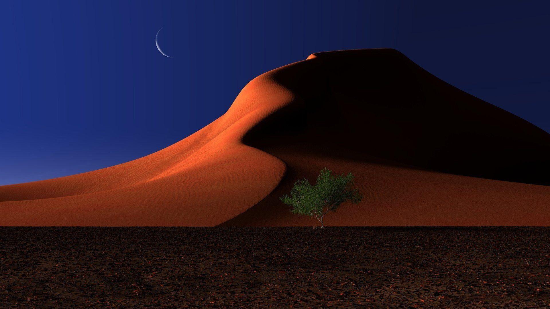 1920x1080 Landscape With A Red Sand Dune African Acacia Tree And Desert Grasses Sossusvlei Namibia Southern. Background desktop, Desktop wallpaper background, Wallpaper