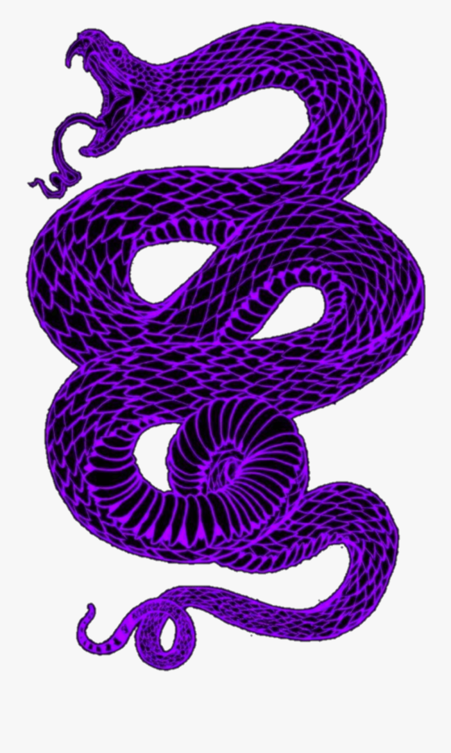 900x1502 Aesthetic Snake Drawing .