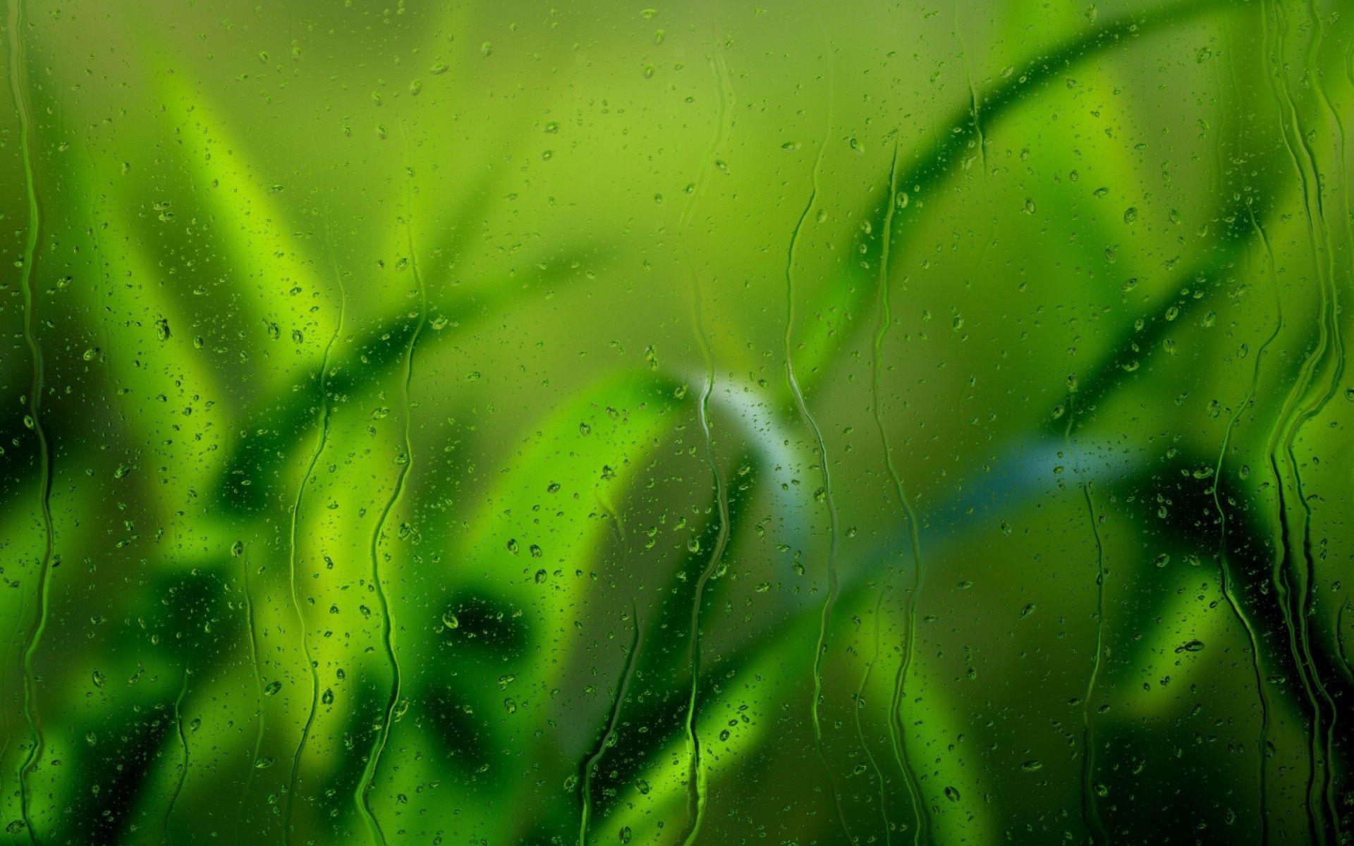 1920x1200 Get $34 Off Orders from mjhc86 at Oranum extra coupon: $20 Off $from MoonInCancer and Take 54. Amazing nature photography, Rain wallpaper, Textured wallpaper
