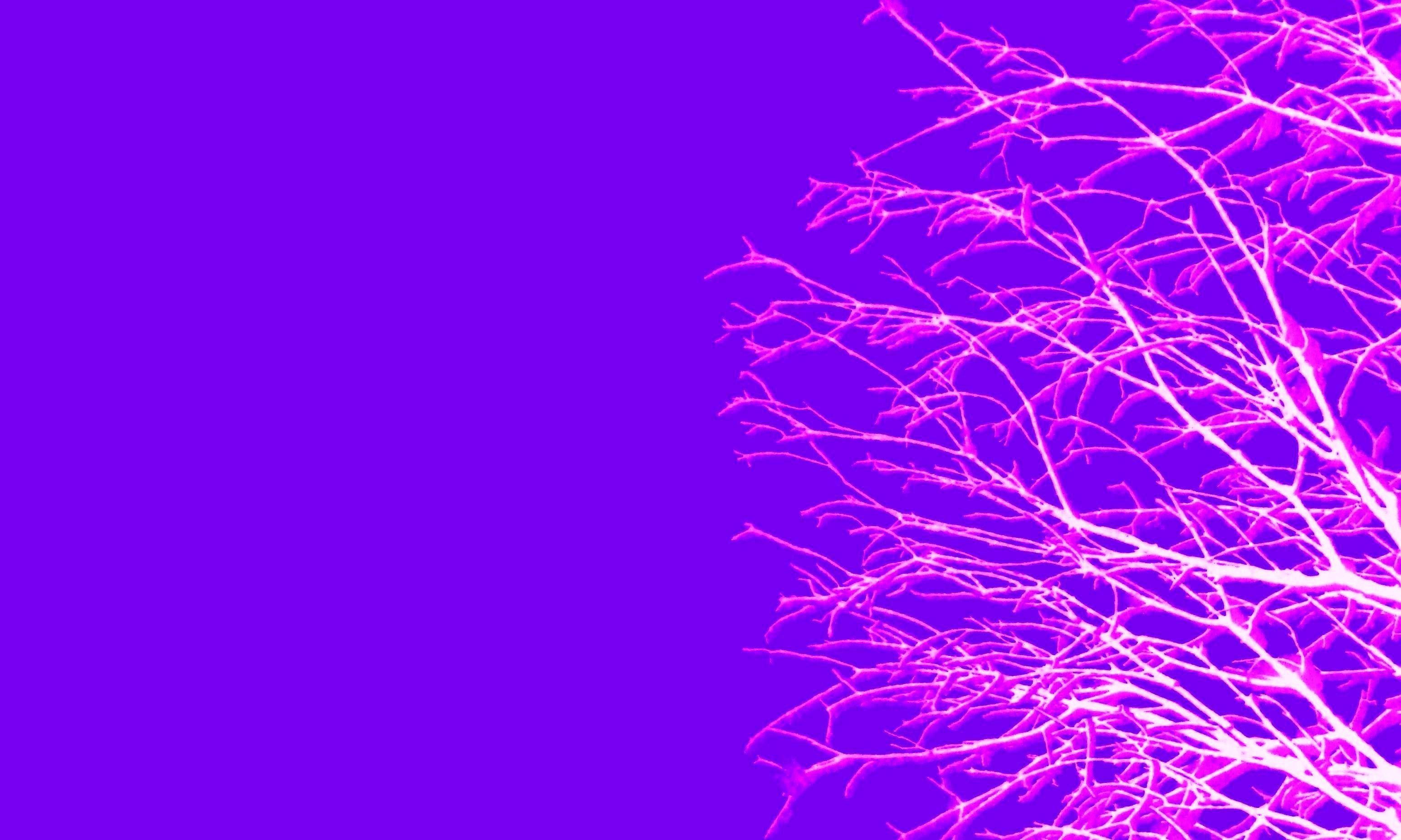 3088x1852 Cotton Candy Colored Background .
