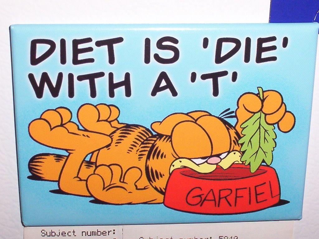 1024x768 Garfield Monday Wallpaper .