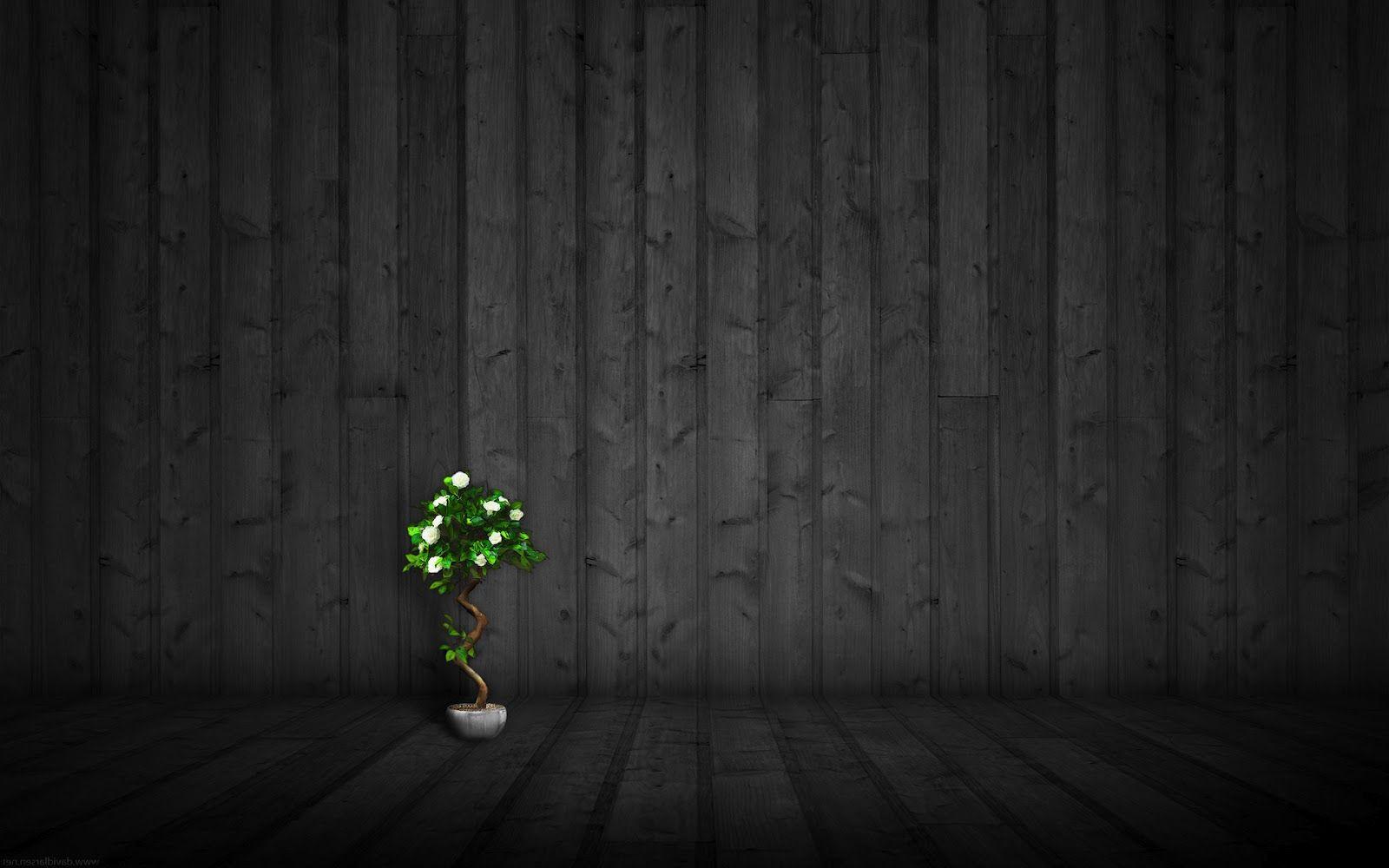 1600x1000 Dark Background plant #Wallpaper. Wood wallpaper, Wallpaper, HD wallpaper