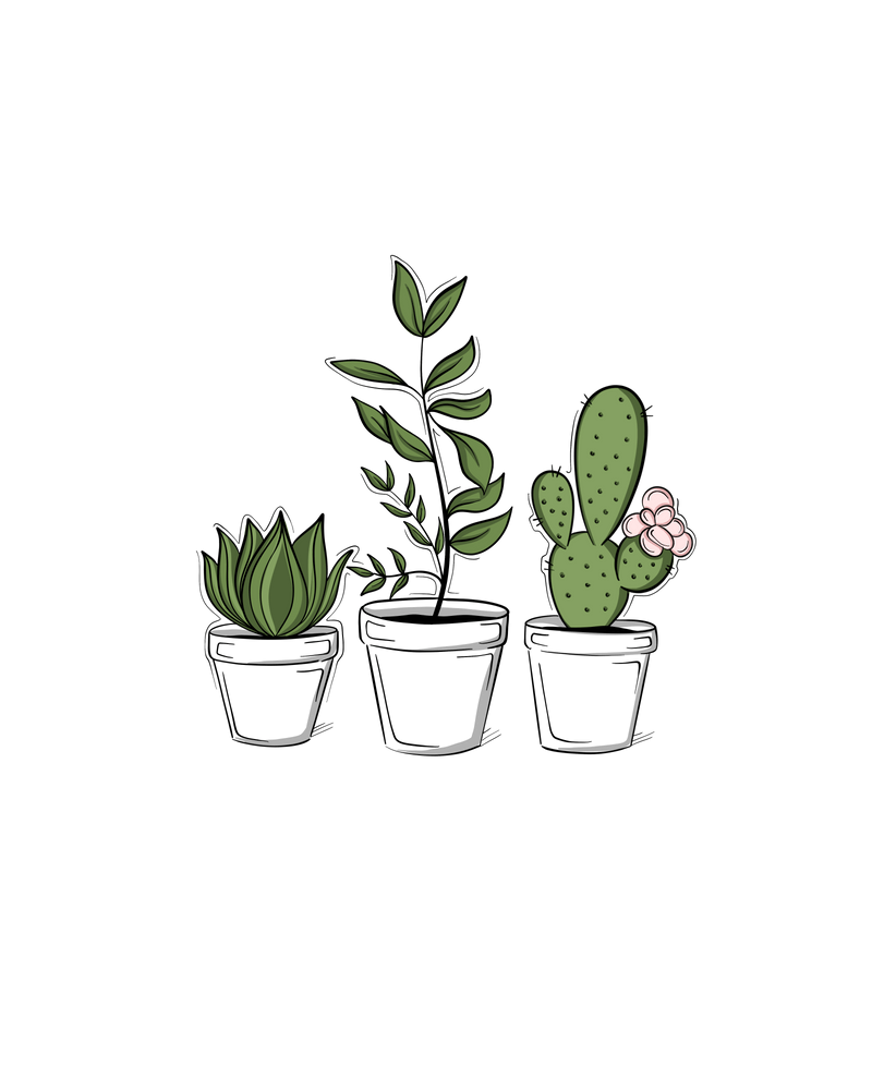 800x1000 Three Little Succulents Art Print By Sabina Fenn Illustration Small. Succulent Stickers, Succulent Art, Succulent Painting