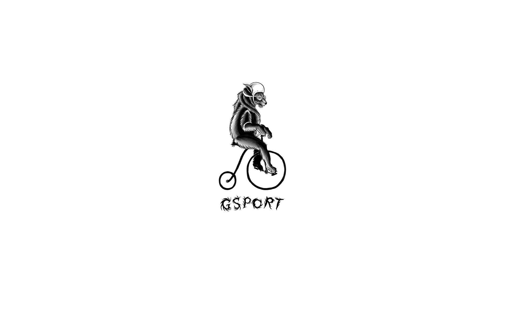 1920x1200 GSPORT • Wallpaper: Bear Cycle