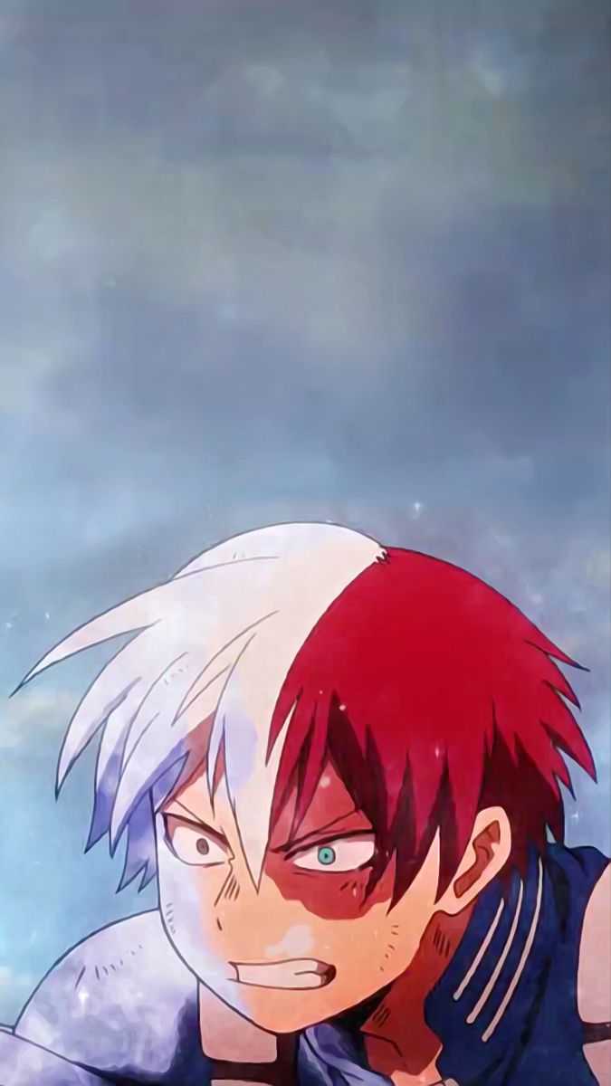 675x1200 Todoroki Wallpaper