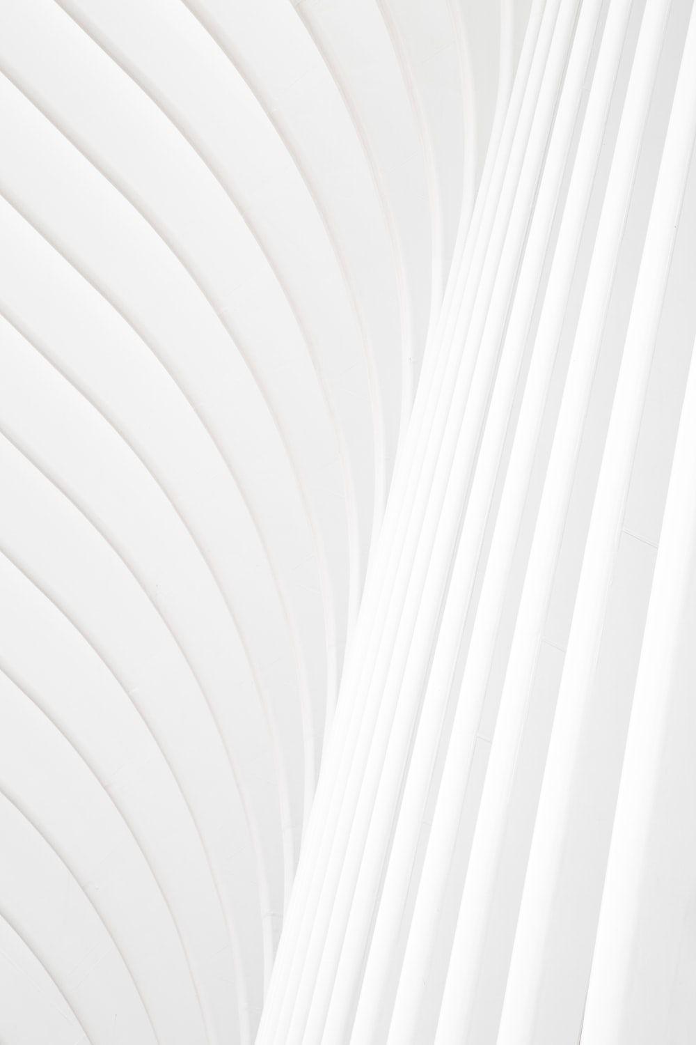 Những hình nền trắng 8k miễn phí hàng đầu tại WallpaperAccess được thiết kế đẹp mắt và chất lượng tuyệt vời. Với độ phân giải cao 8k, hình ảnh sẽ trông rõ nét trên màn hình của bạn và mang lại sự sang trọng và tinh tế cho thiết bị của bạn.