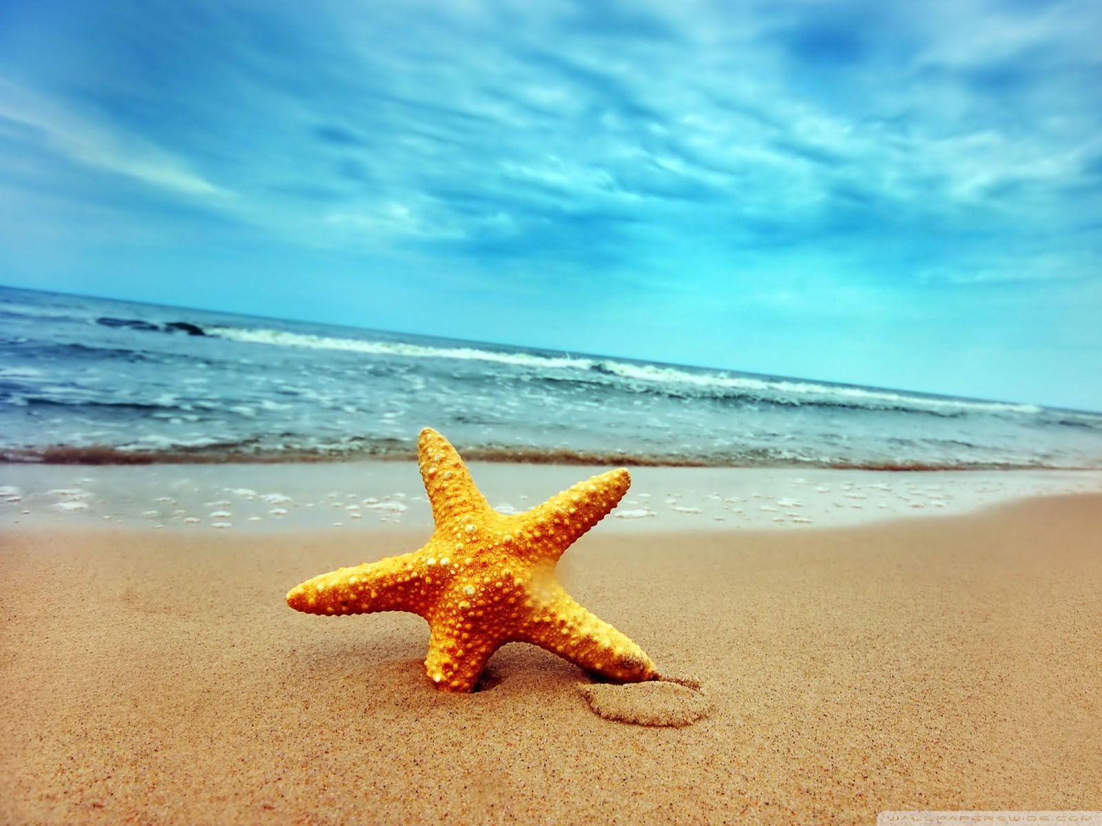 1600x1200 Beach and Starfish Wallpaper