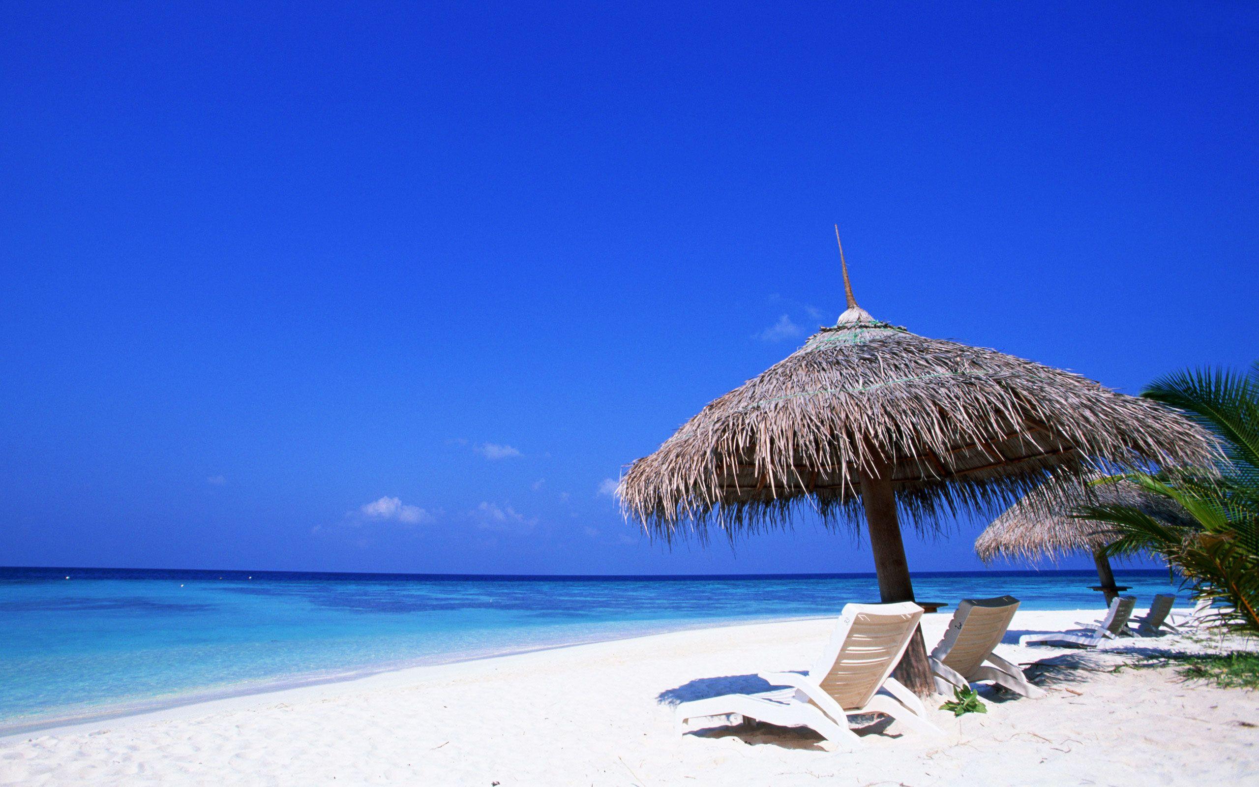 2560x1600 Tropical sandy beach and blue ocean wallpaper