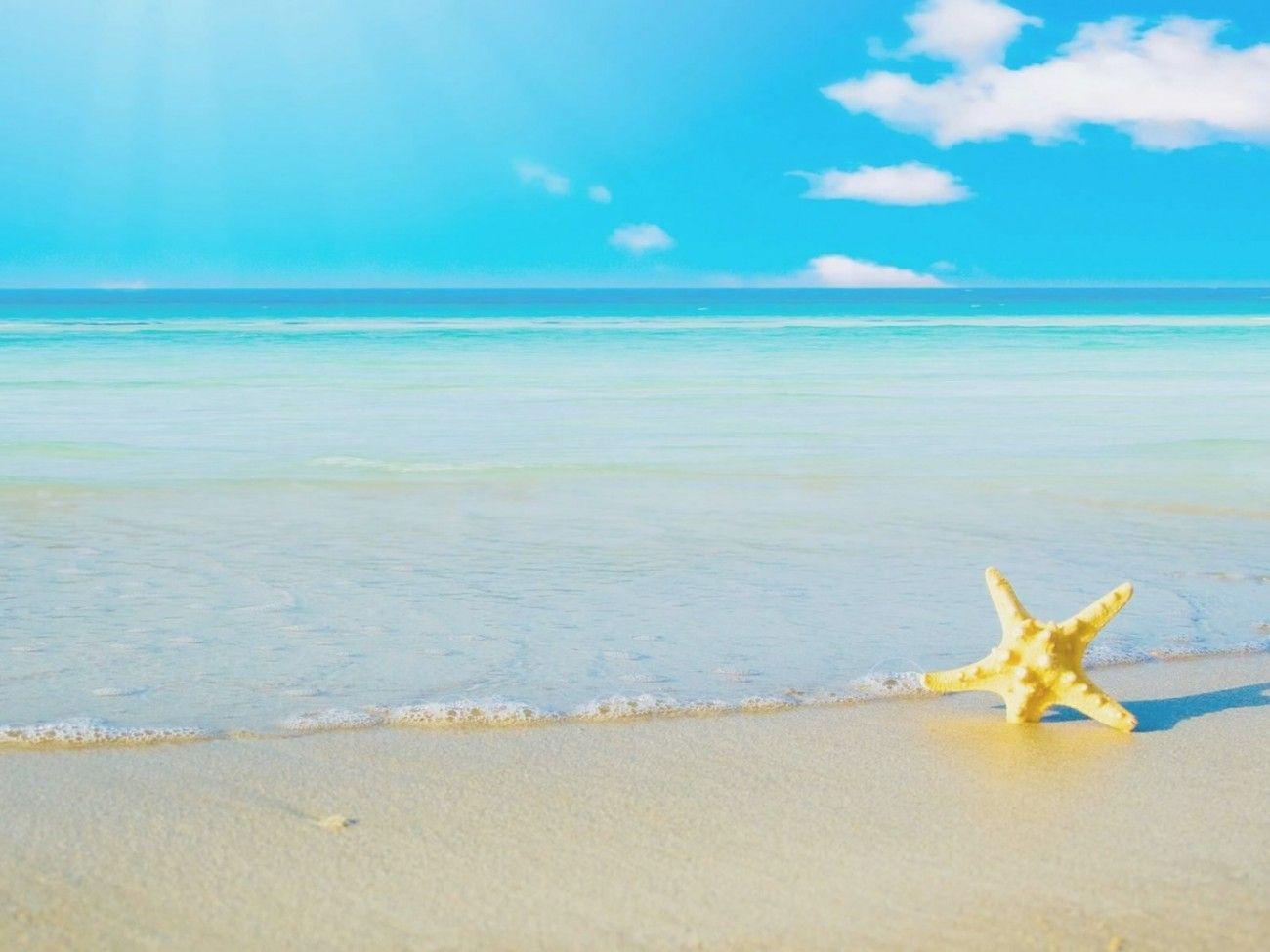 1300x975 10 Star Fish Sea Beach Sand Wallpaper