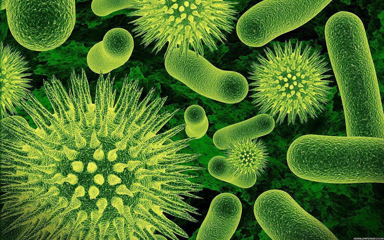 1280x800 Resurrecting Ancient Proteins To Fight Back Against Modern Viruses