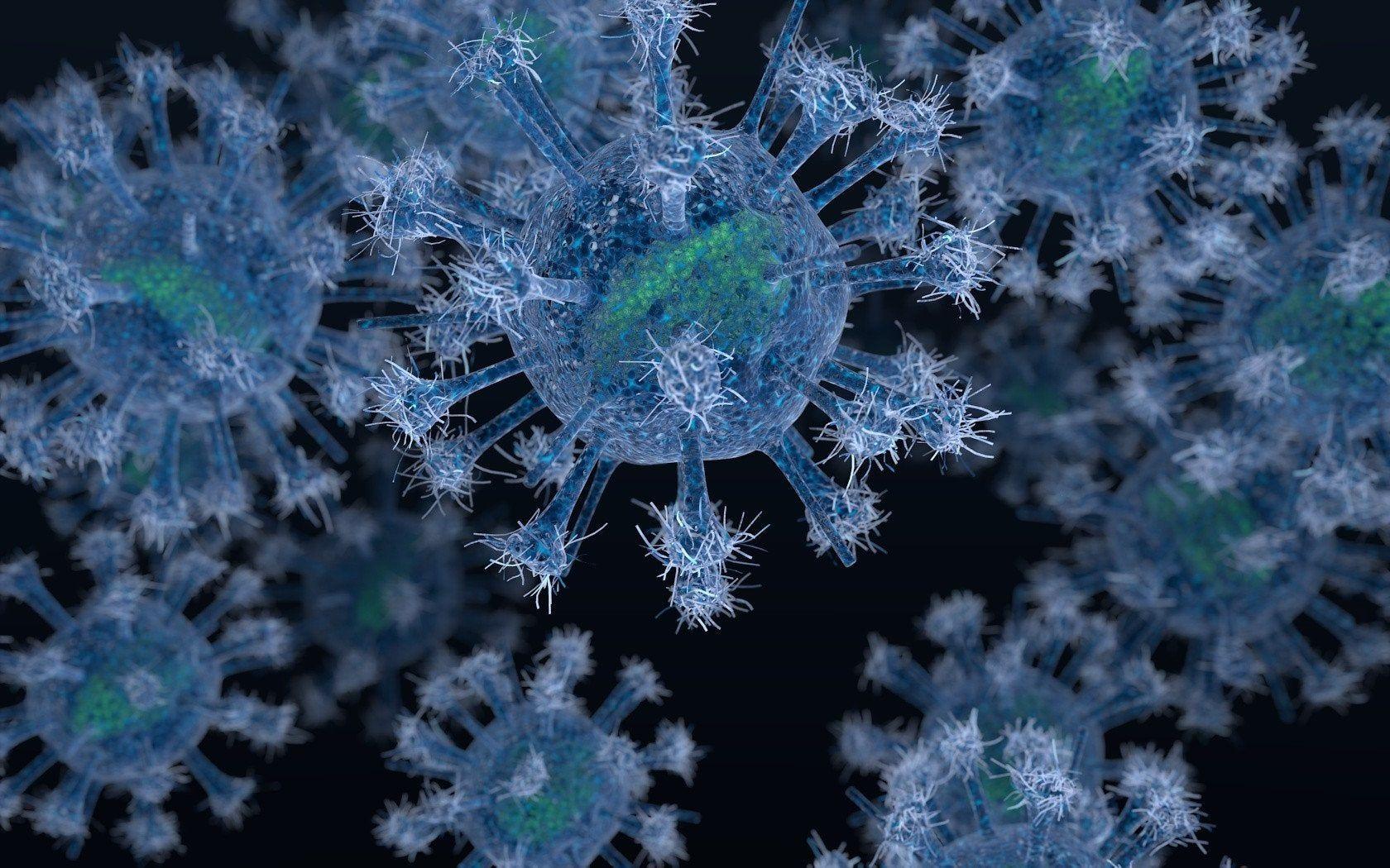 Картинки про вируса. Вирус коронавирус. Бактерия коронавируса под микроскопом. Микроб коронавируса под микроскопом. Вирусы под микроскопом.