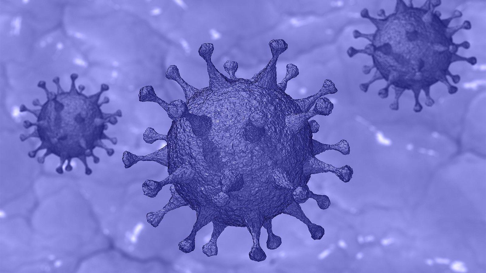 1600x900 What Is a Virus? Viruses Work