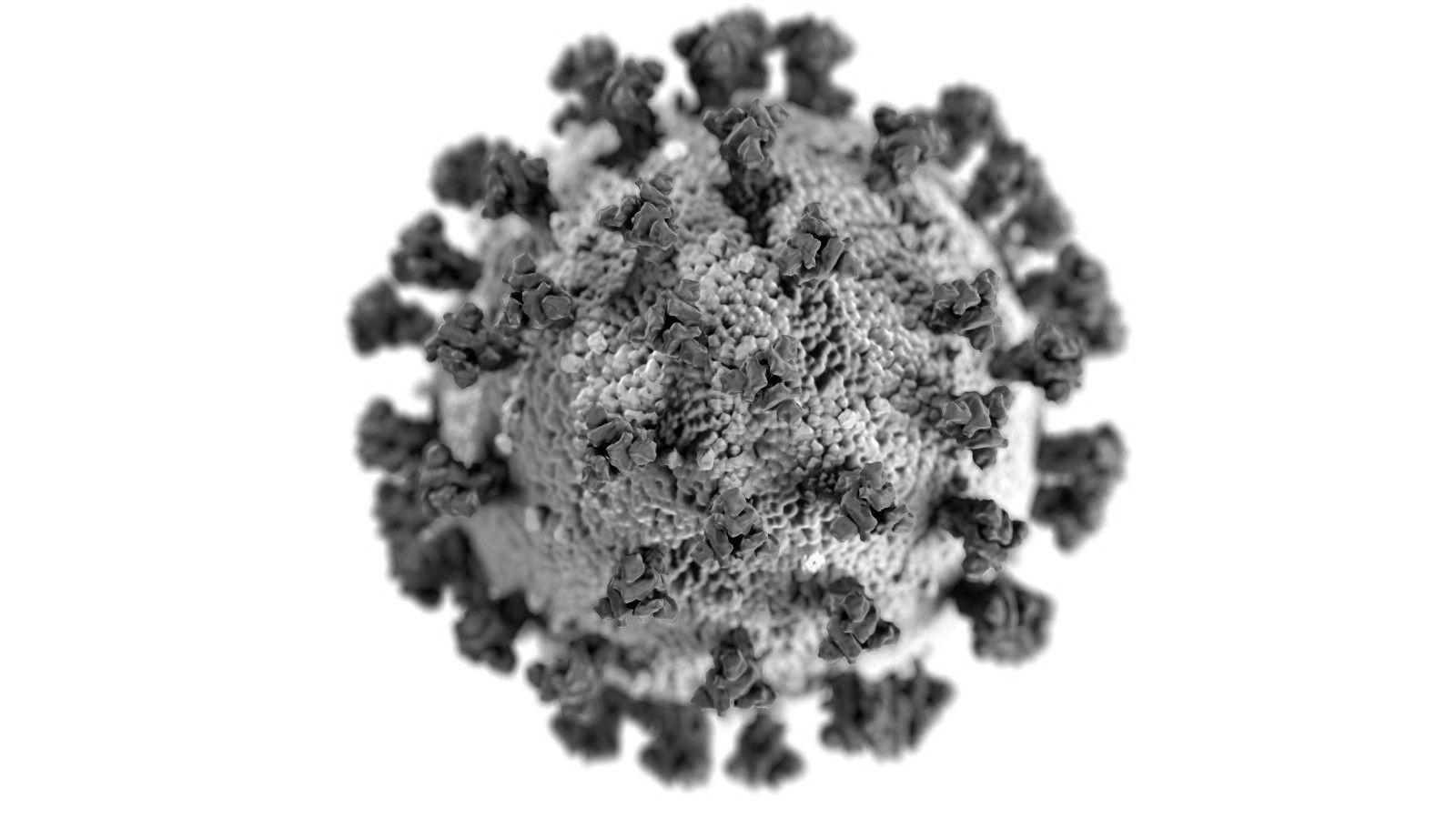 1600x900 Virus Have No Color