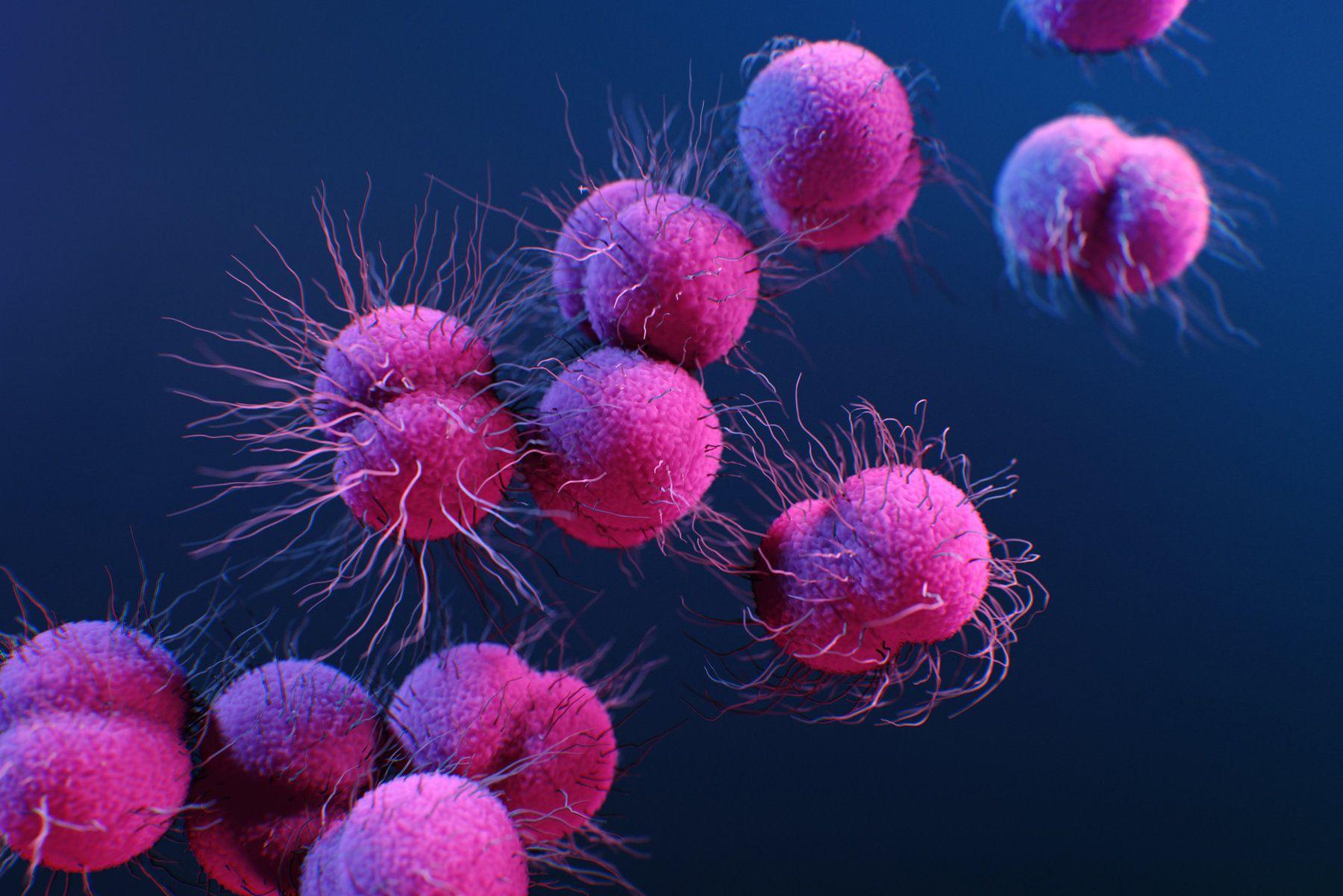 1800x1201 How C.D.C. Illustrators Designed That Iconic Coronavirus Image