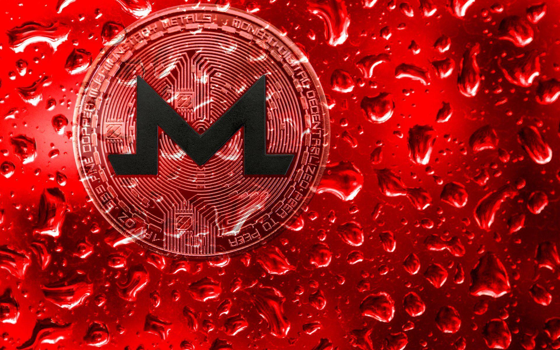 Monero Wallpapers - Top Free Monero Backgrounds - WallpaperAccess