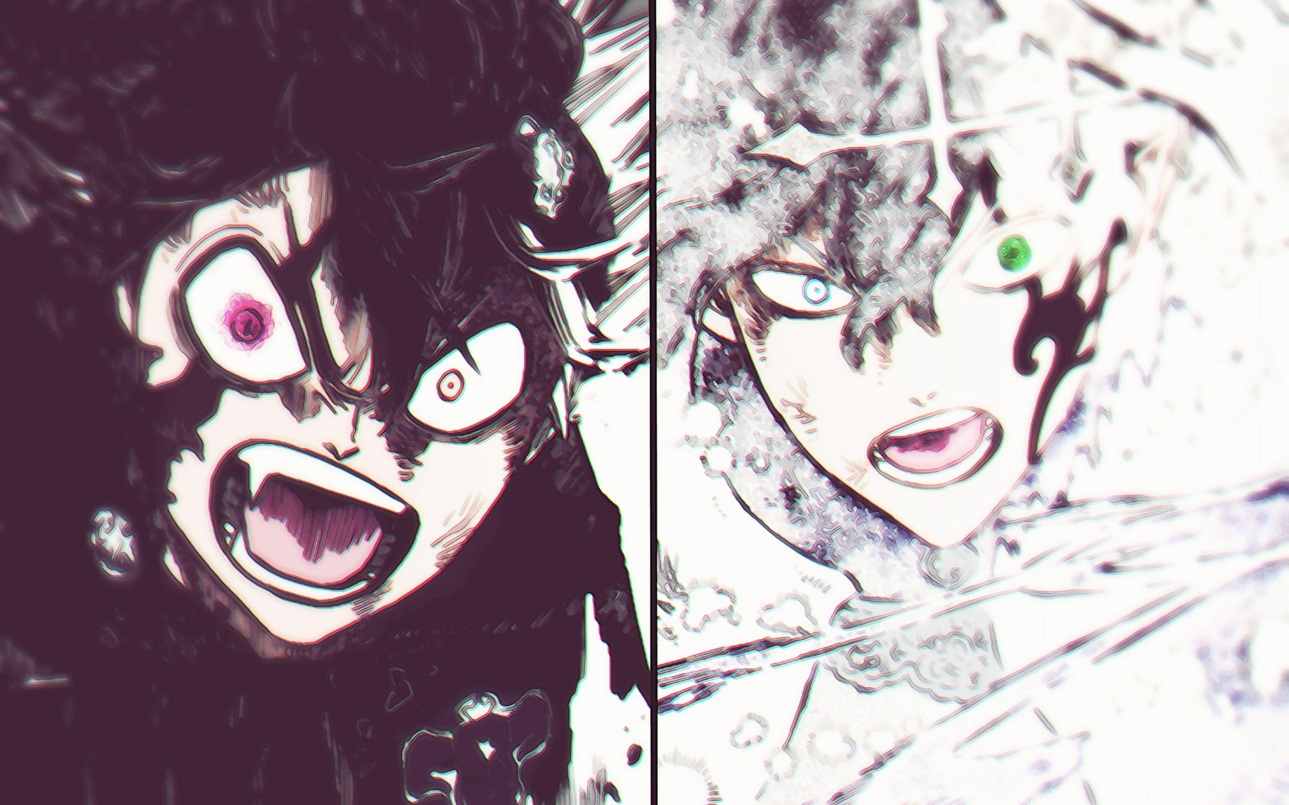 2560x1600 Black Clover Wallpaper Asta and Yuno PC 720P .