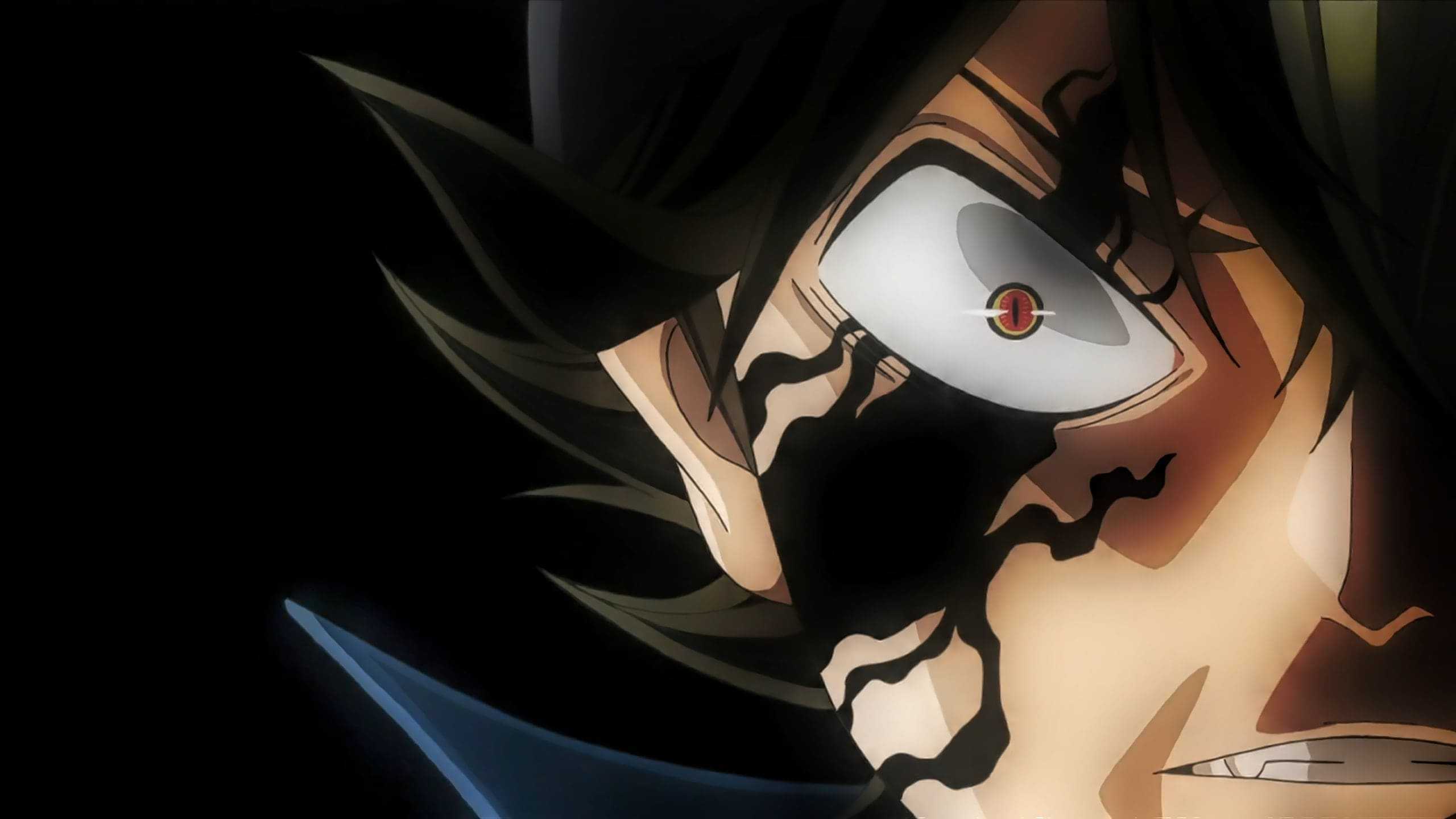 2560x1440 Asta Wallpaper
