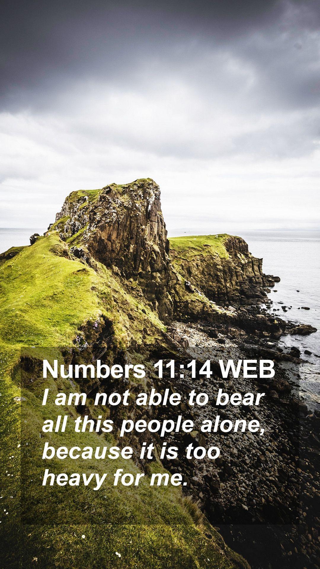 1080x1920 Numbers 11:14 WEB Mobile Phone Wallpaper am not able to bear all this people alone