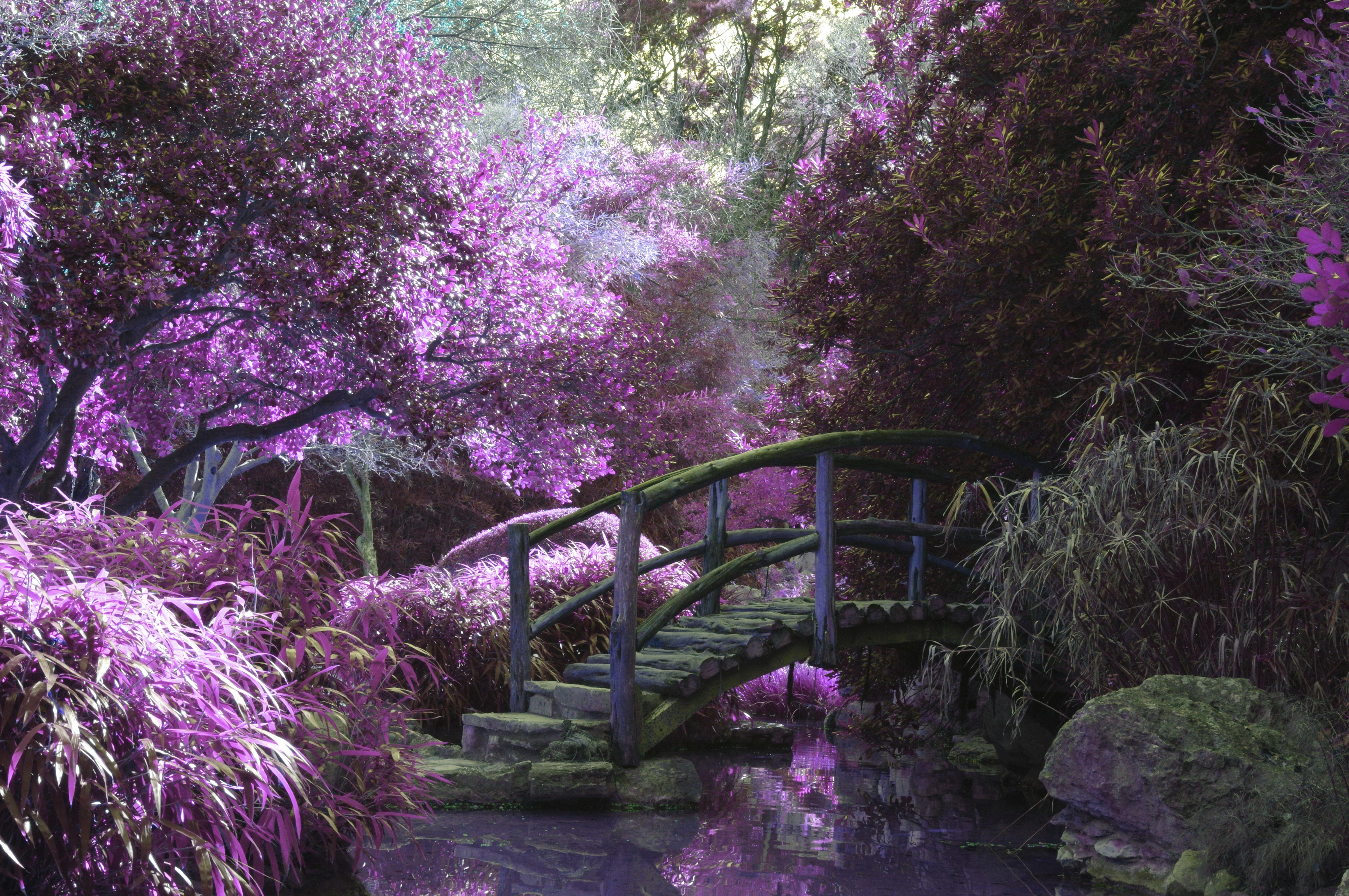 5984x3979 magical HD wallpaper, background