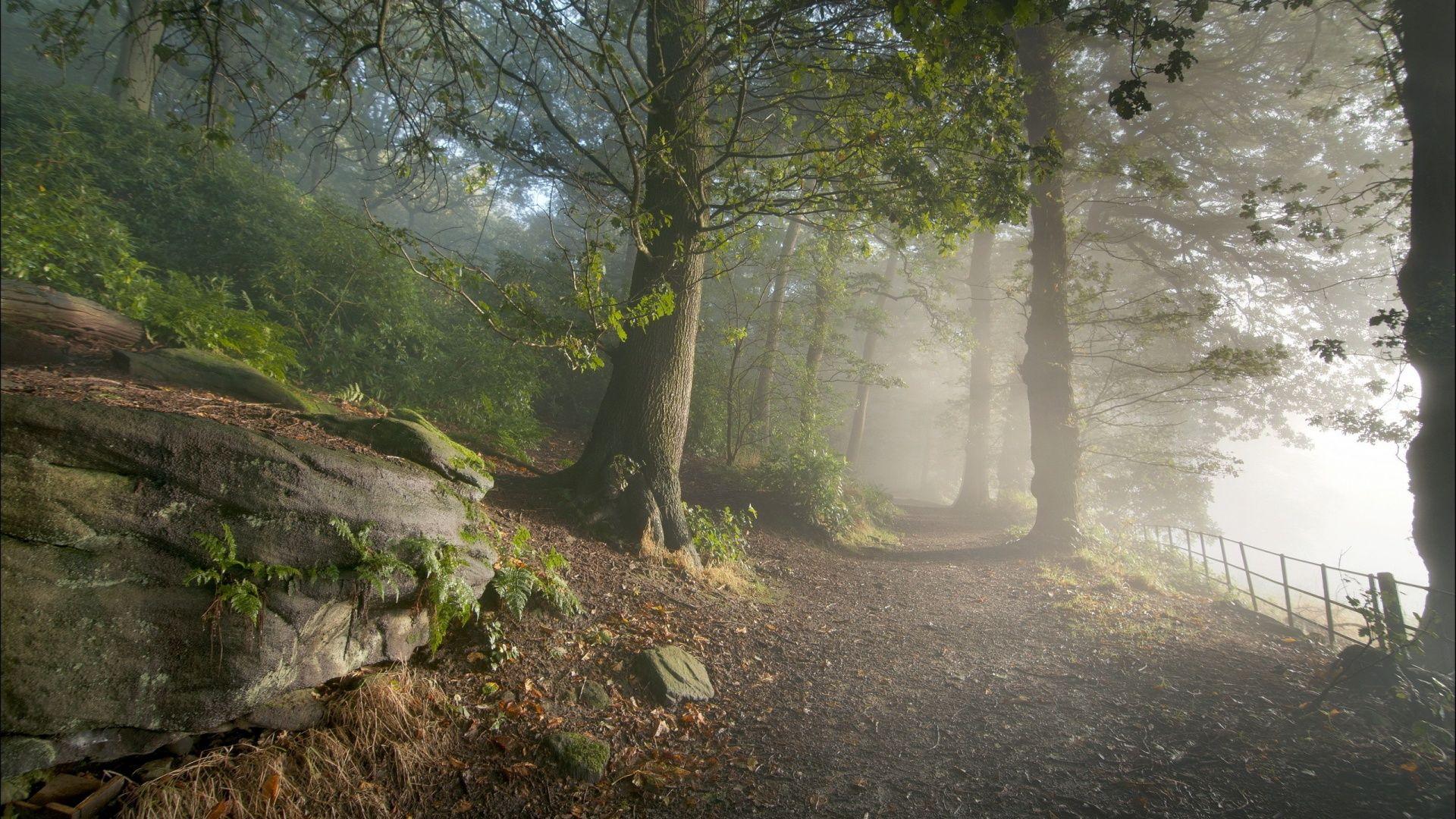 1920x1080 Mystic Background. Mystic Garden Wallpaper, Wallpaper Mystic Gypsy and Mystic Wallpaper