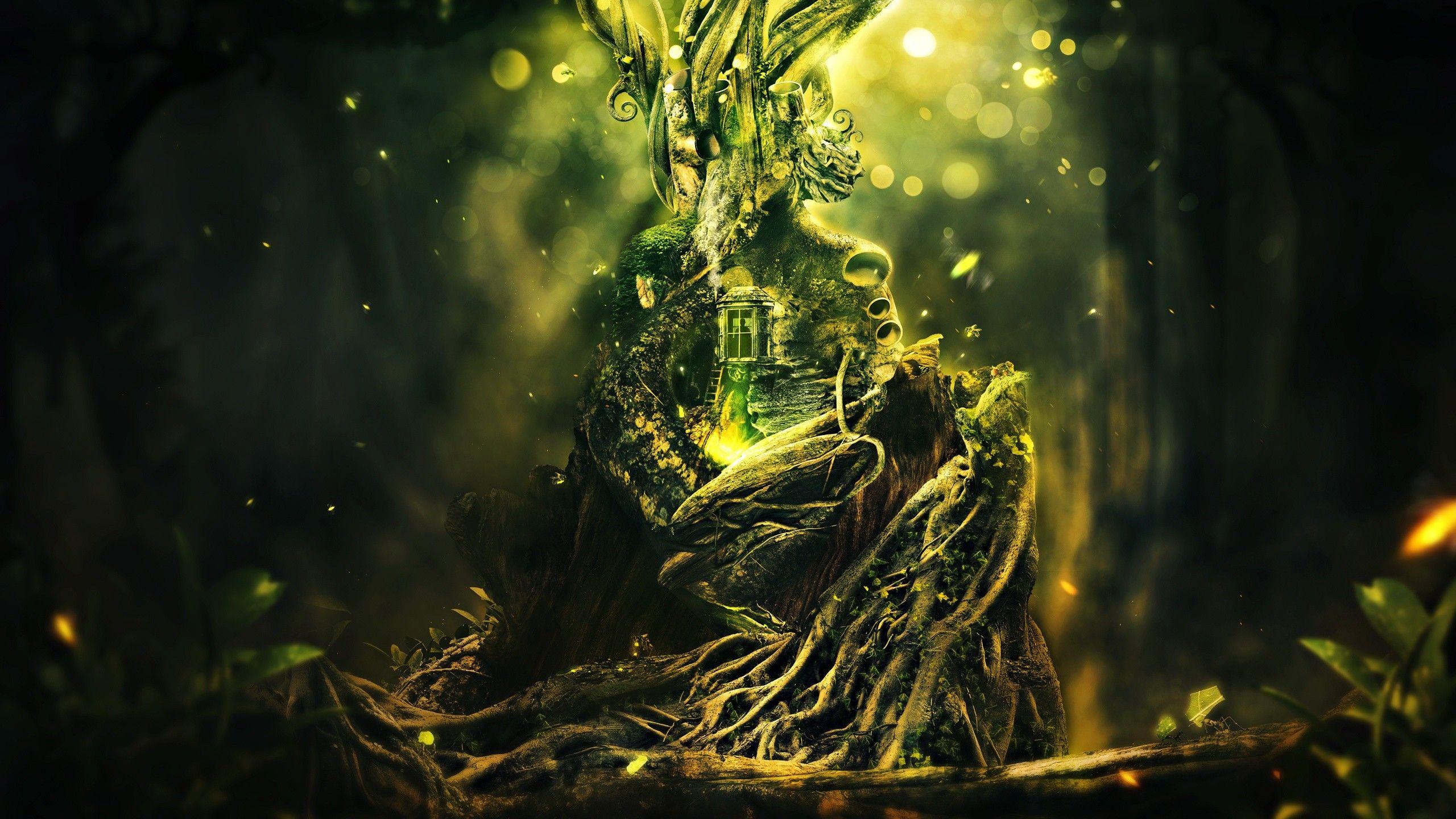 2560x1440 Mystical wallpaper wallpaper Collections