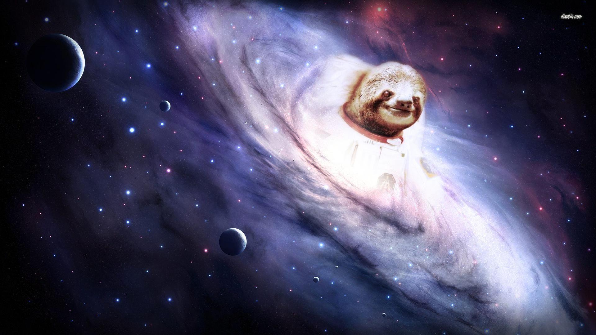 1920x1080 Free download Sloth Wallpaper [1920x1080] for your Desktop, Mobile & Tablet. Explore Sloth Wallpaper. Funny Sloth Wallpaper, Free Wallpaper Sloth, HD Sloth Wallpaper