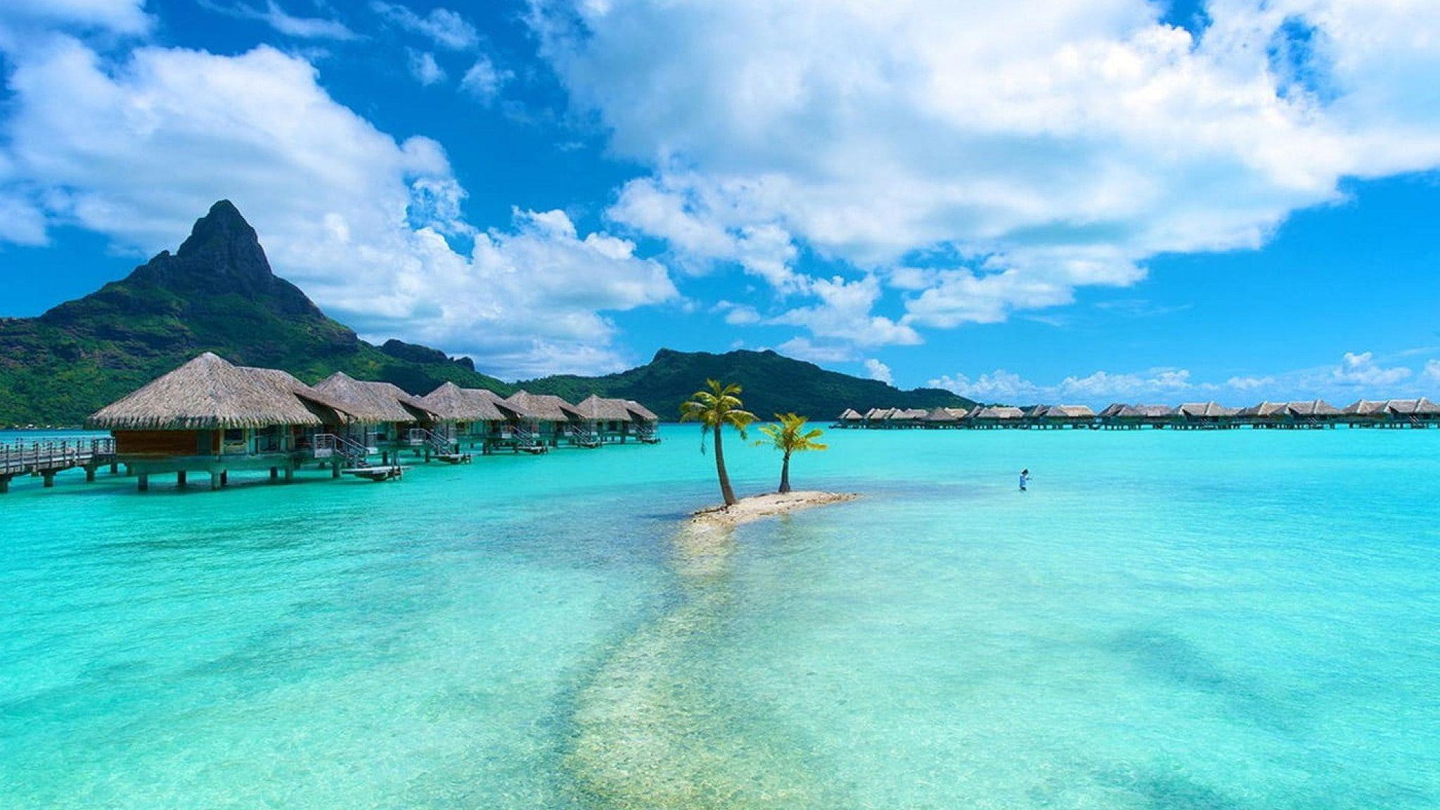 2048x1152 Wallpaper Green Palm Tree, Nature, Landscape, Bora Bora • Wallpaper For You HD Wallpaper For Desktop & Mobile