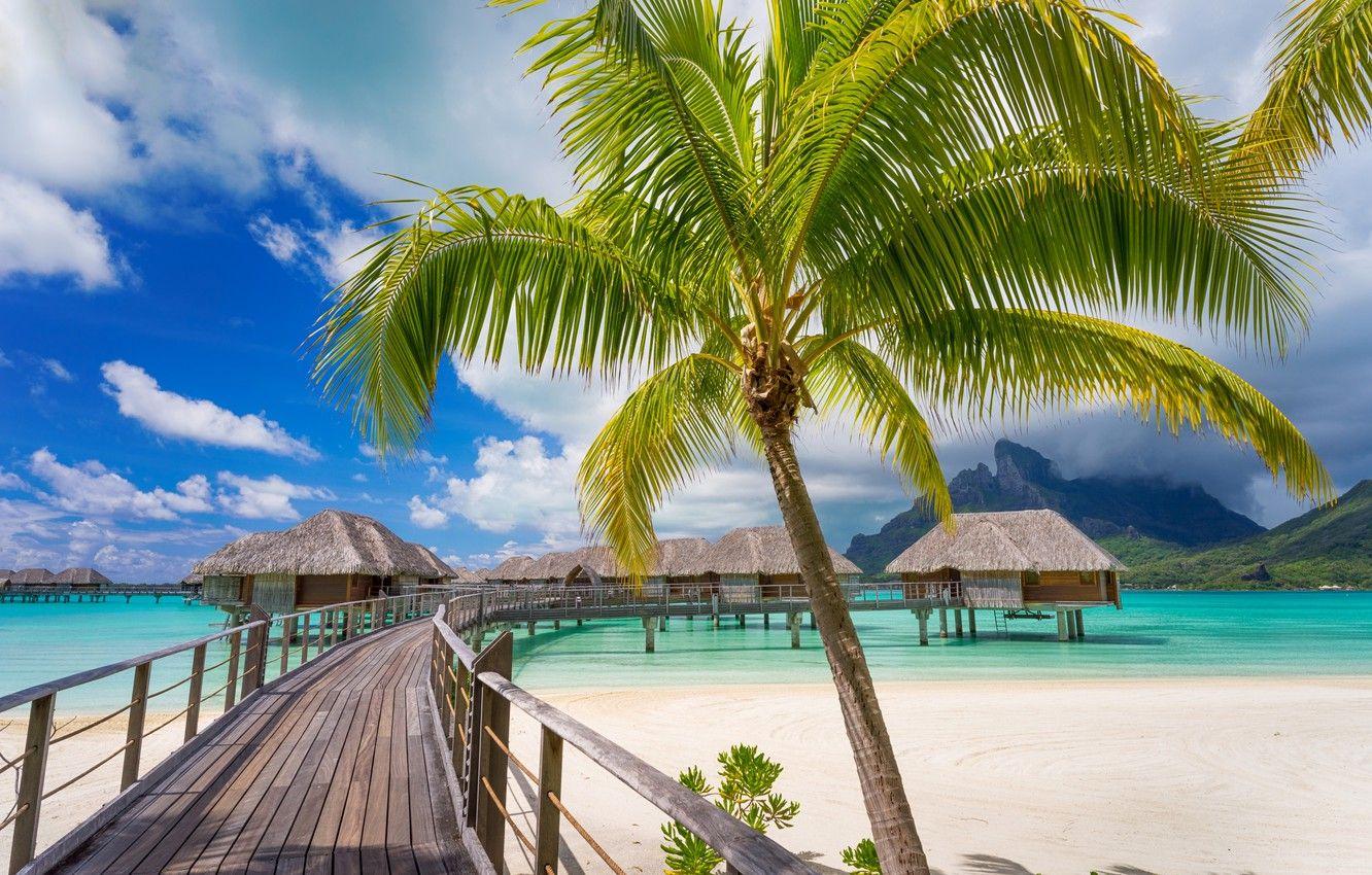 1332x850 Wallpaper Nature, Tropics, Palm trees, Coast, French Polynesia, Bungalow, The Bridge Bora Bora image for desktop, section природа