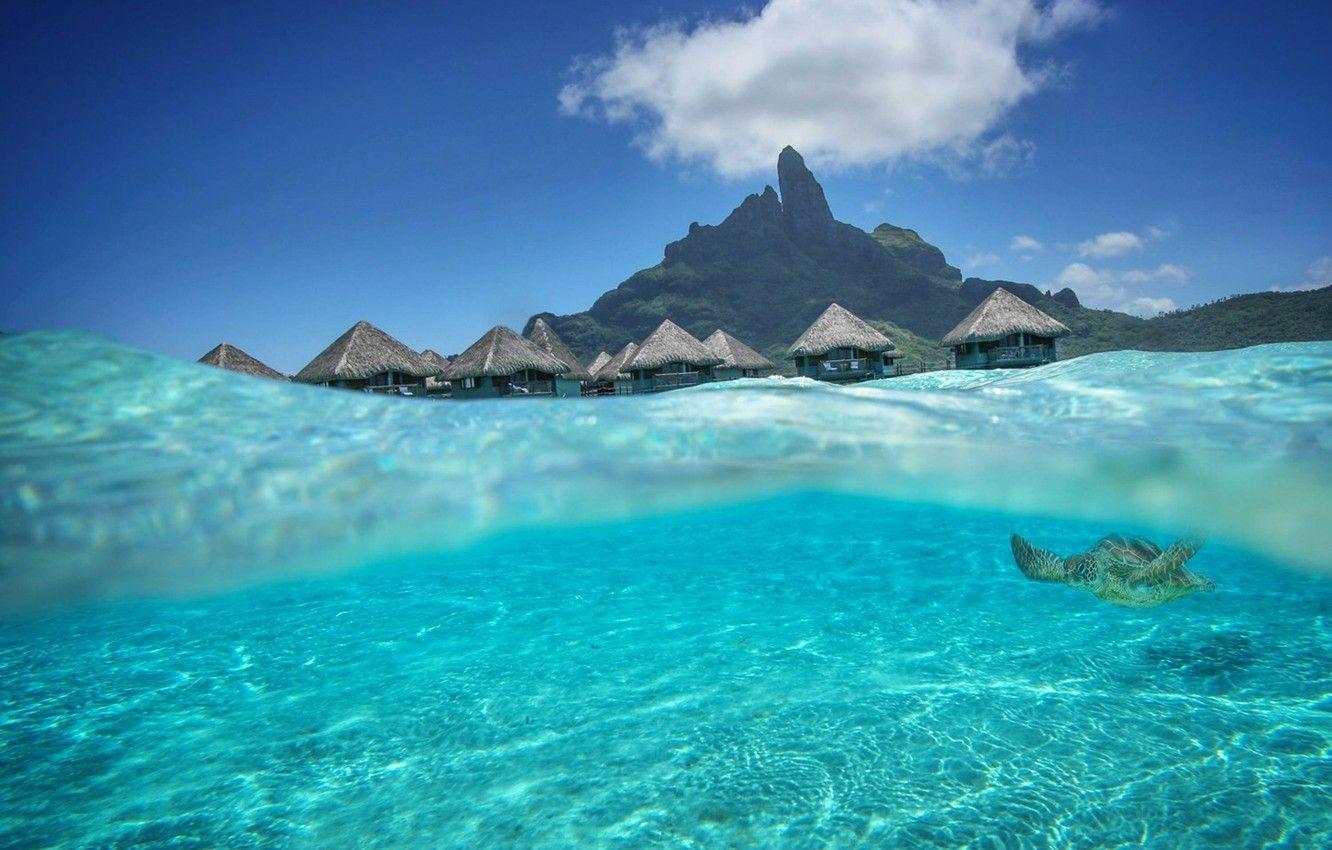 1332x850 Wallpaper Water, Transparency, The Ocean, Laguna, Bungalow, Tahiti, Beautiful, Bora Bora, Aqua, Bora, Blue Lagoon, Dream Isl Image For Desktop, Section природа