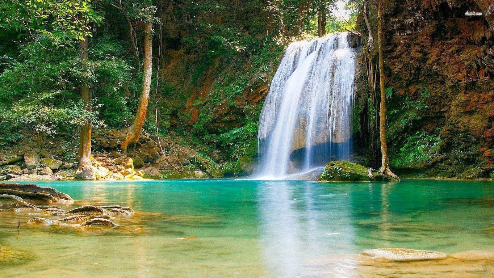 1600x900 A Normal Picture When You Live In The Forrest. Via R Pics. Beautiful Image Nature, Nature Desktop, HD Nature Wallpaper