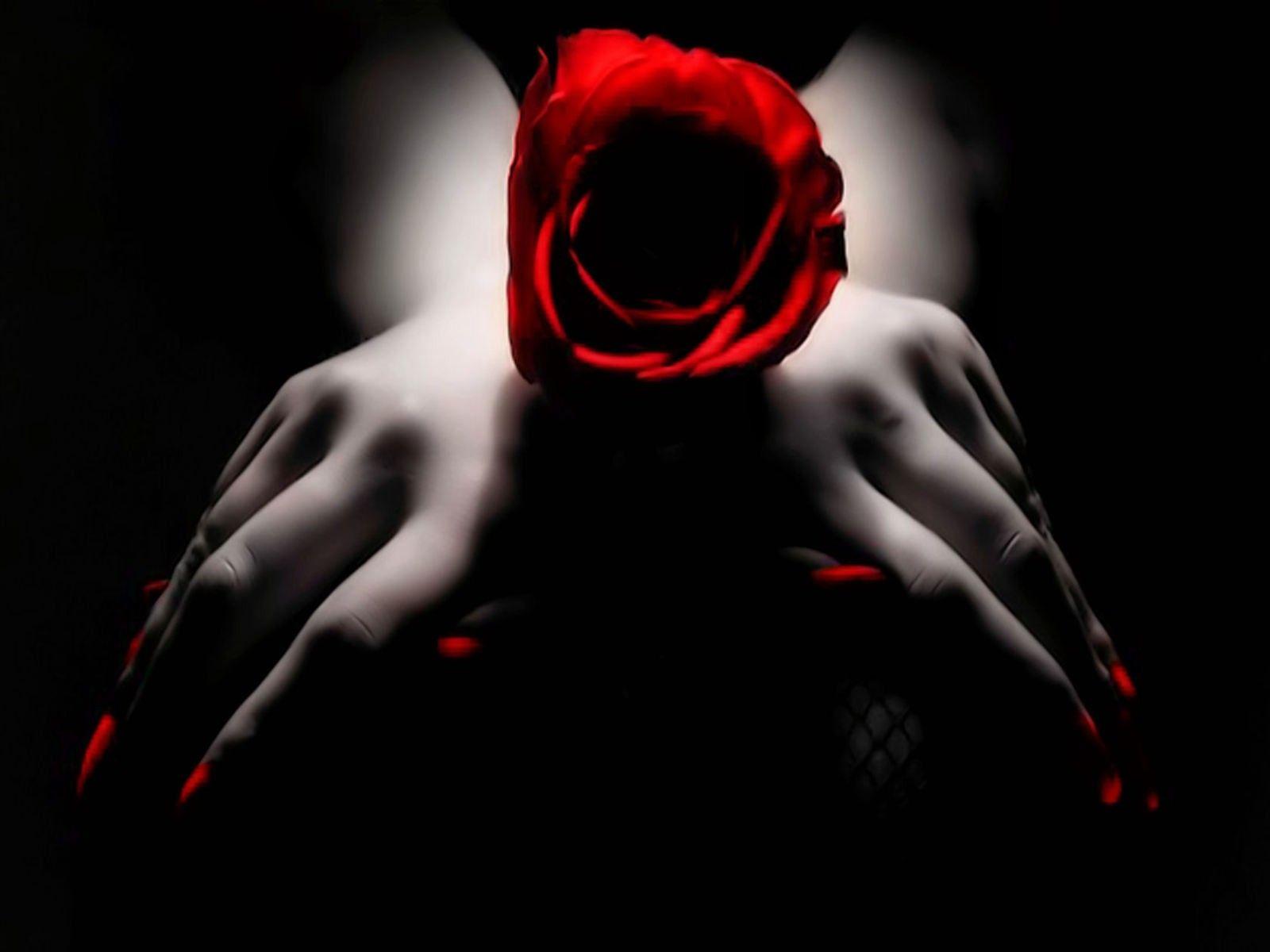 1600x1200 Red Rose Creepy Black Wallpaper