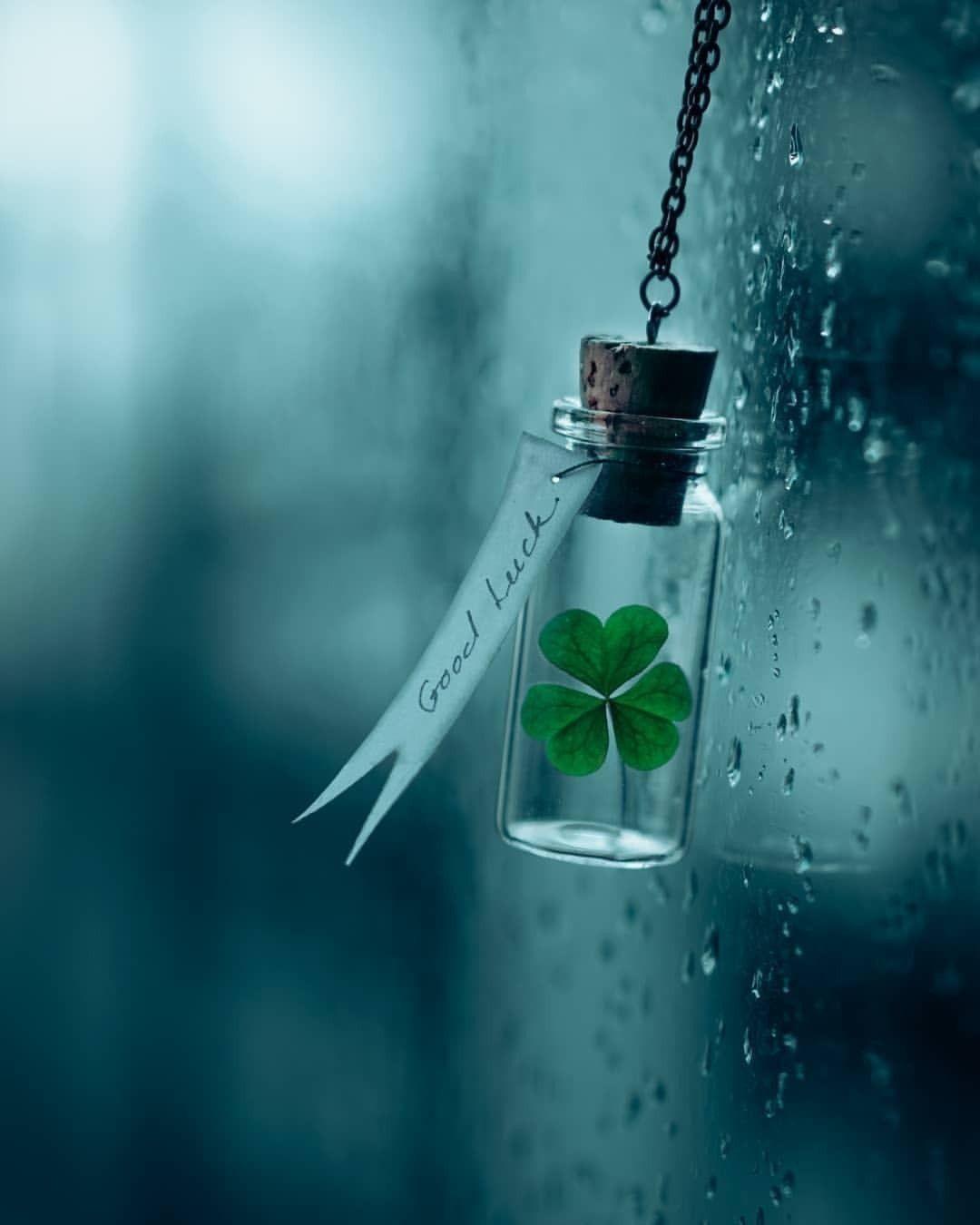 1080x1350 Wallpaper That Bring Good Luck