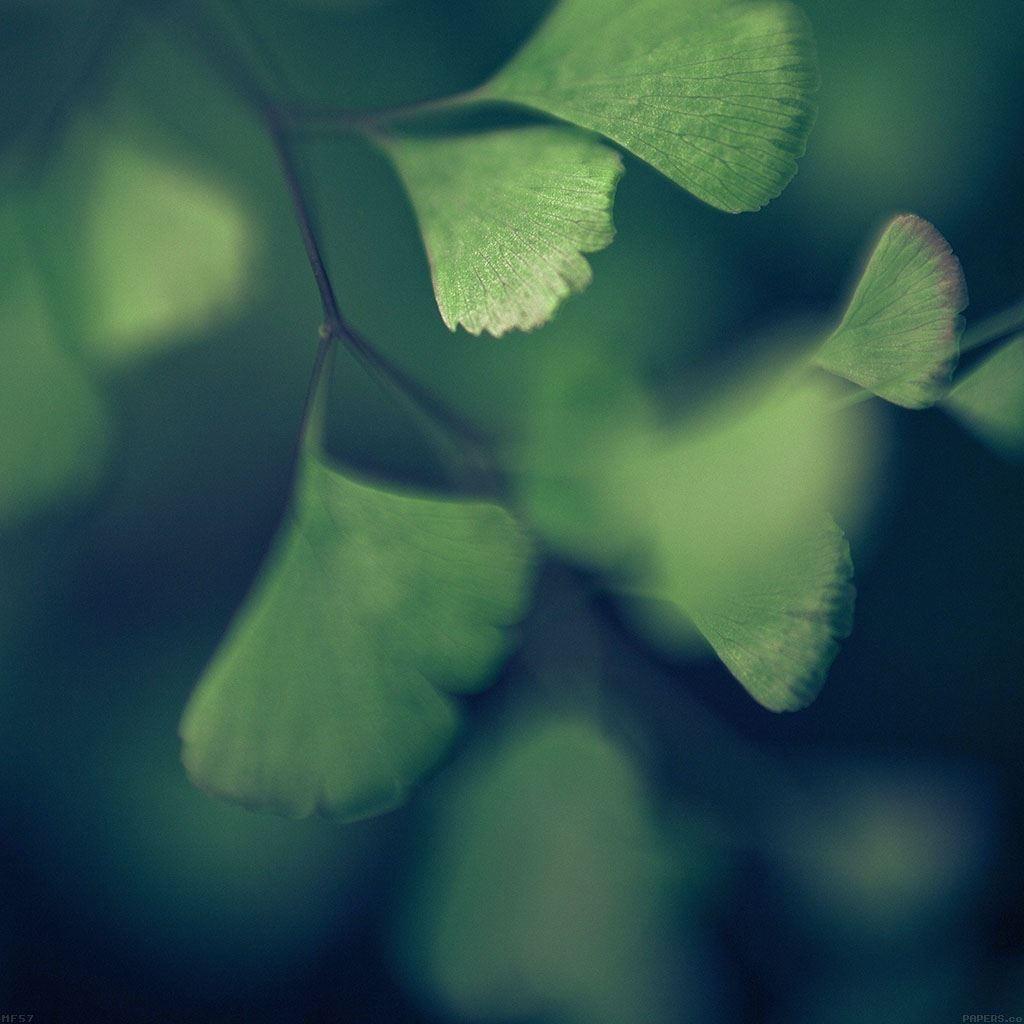 1024x1024 Best Good luck iPad HD Wallpaper