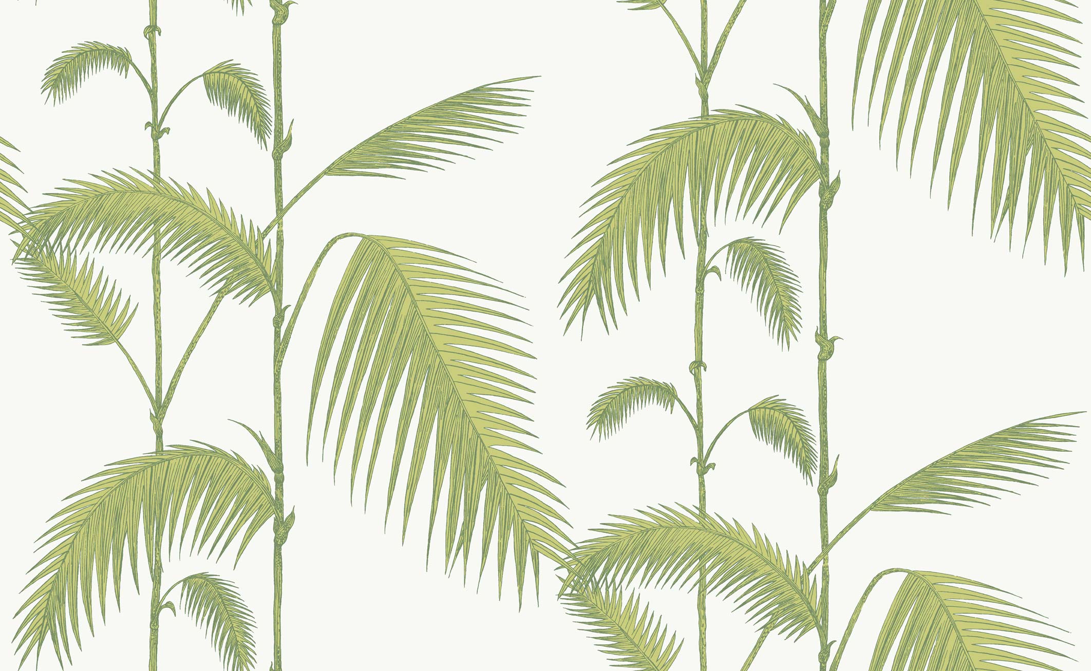 2124x1307 1009 PALM LEAVES WALLPAPER