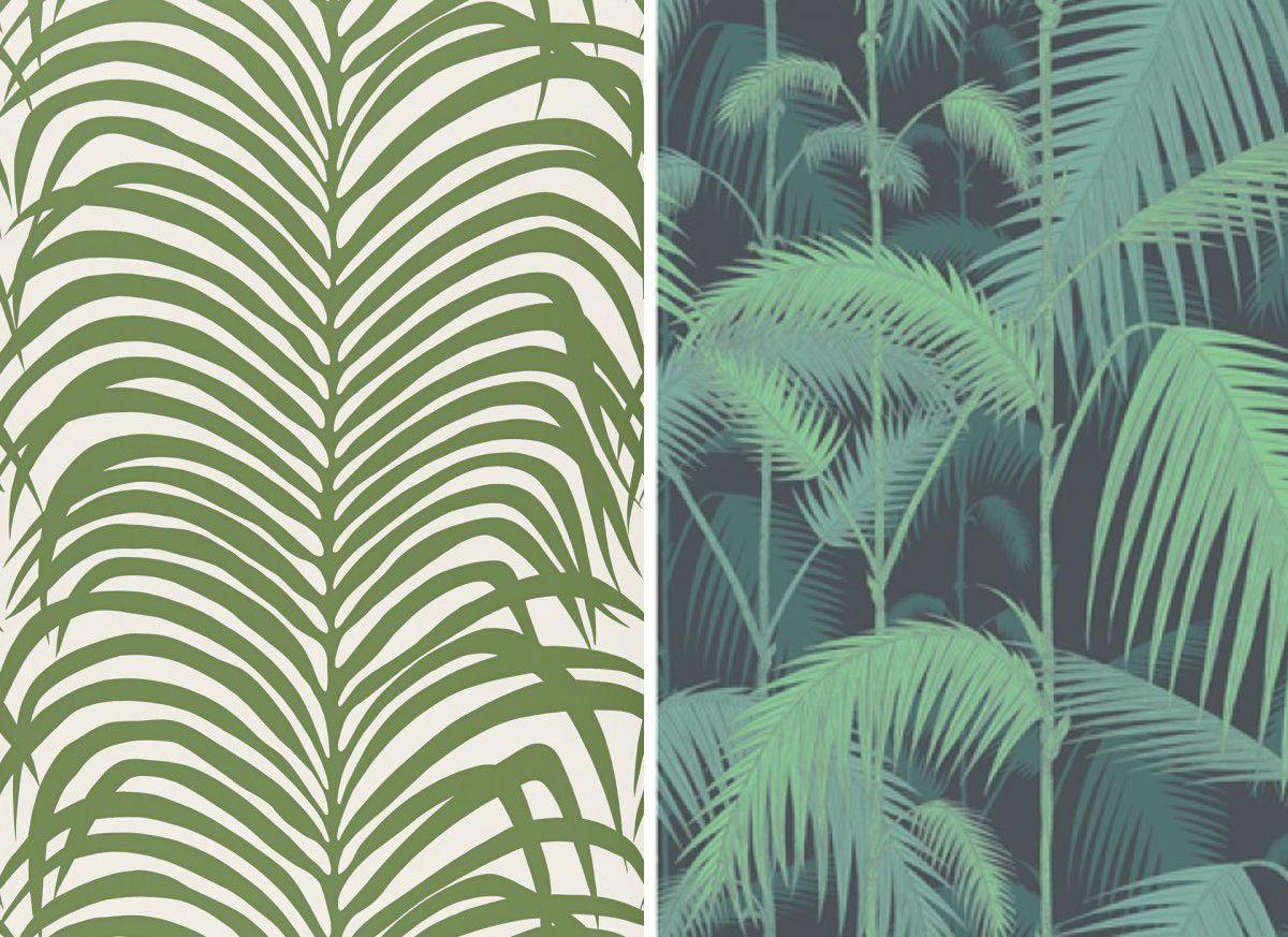 Palm Tree Leaf Wallpapers - Top Free Palm Tree Leaf Backgrounds