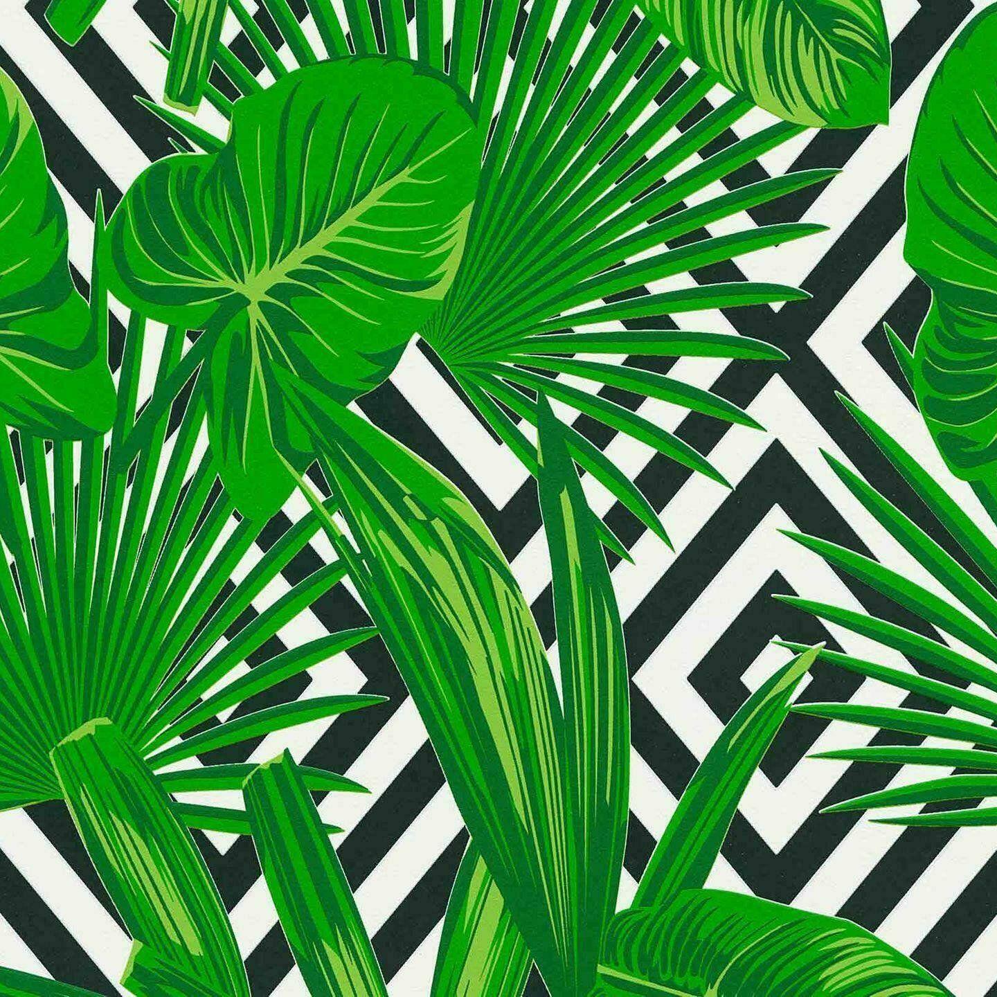 1440x1440 DIY Materials Flower Leaves Wallpaper Palm Tree Tropical White Green Paste Wall Vinyl Erismann Home, Furniture & DIY cruzeirista.com.br
