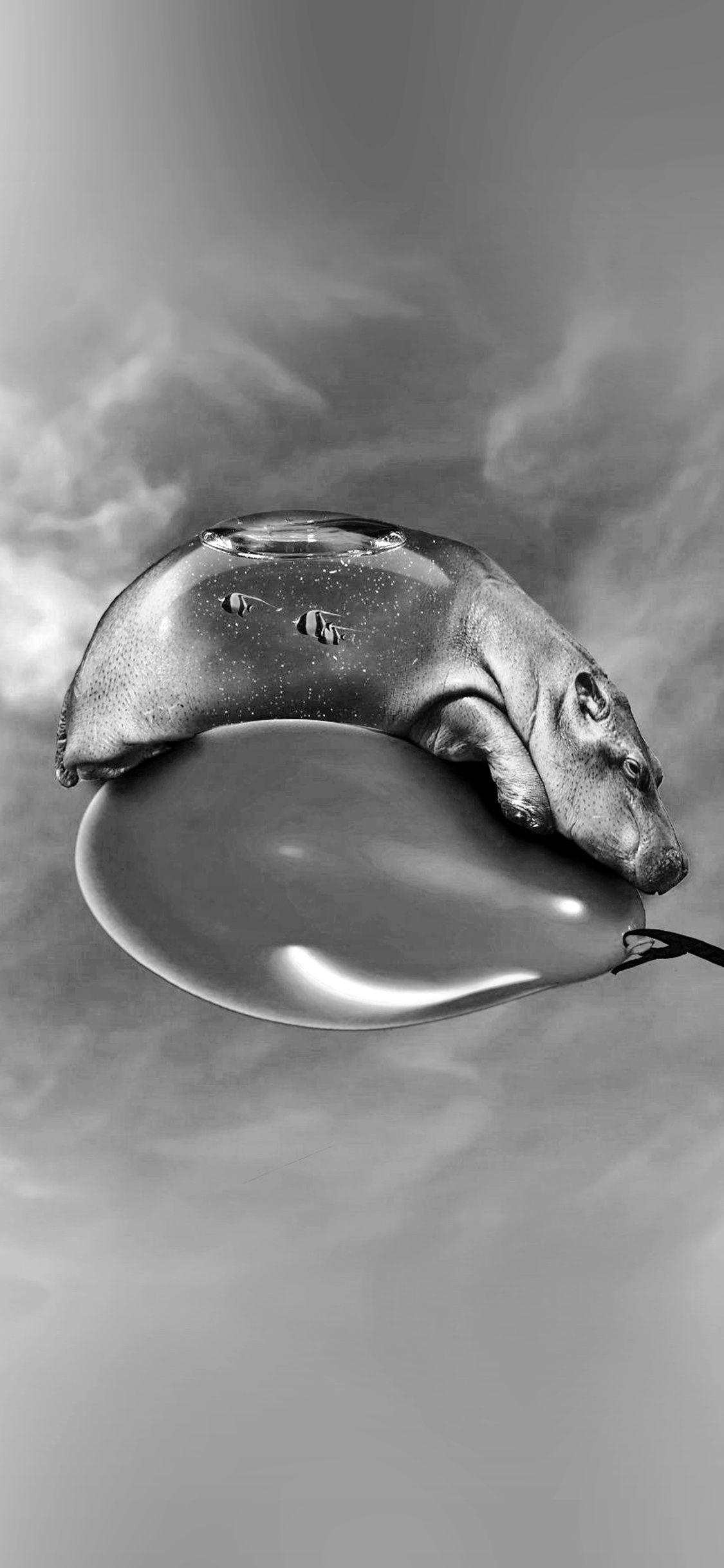 1125x2436 iPhone X wallpaper. hippo dark bw ballon skyart illust animal