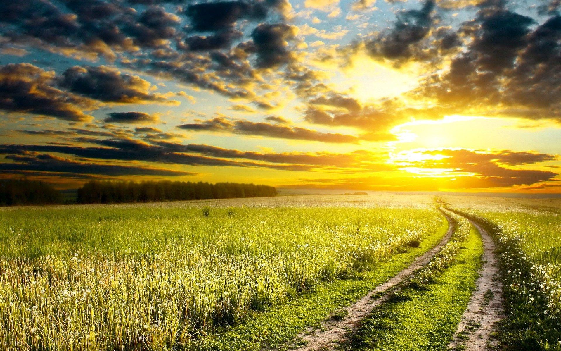 1920x1200 landscape, Nature, Sunset, Path, Clouds, Grass, Dirt Road Wallpaper HD / Desktop and Mobile Background