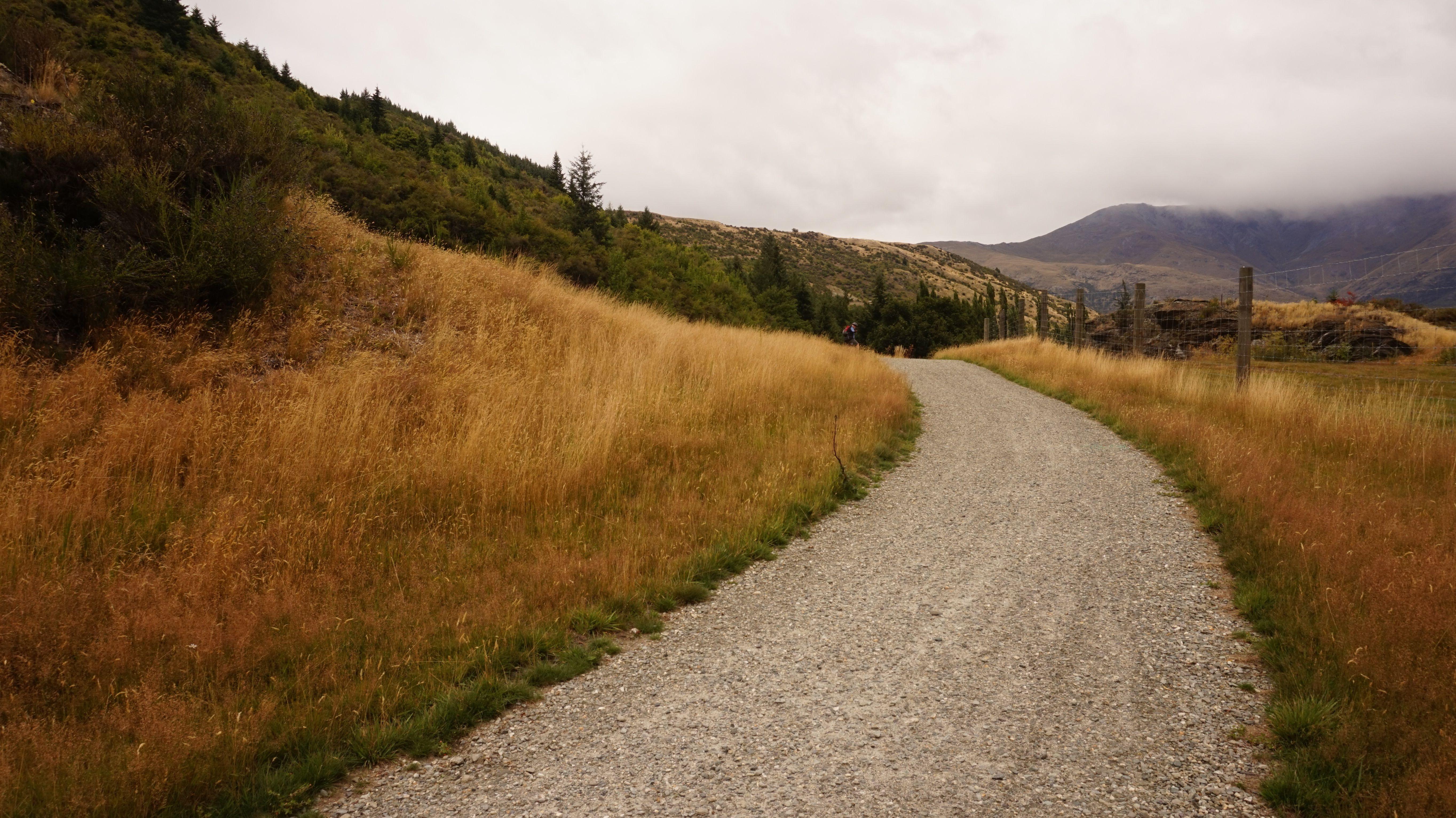 5456x3064 Gray Gravel Road and Brown Weeds · Free