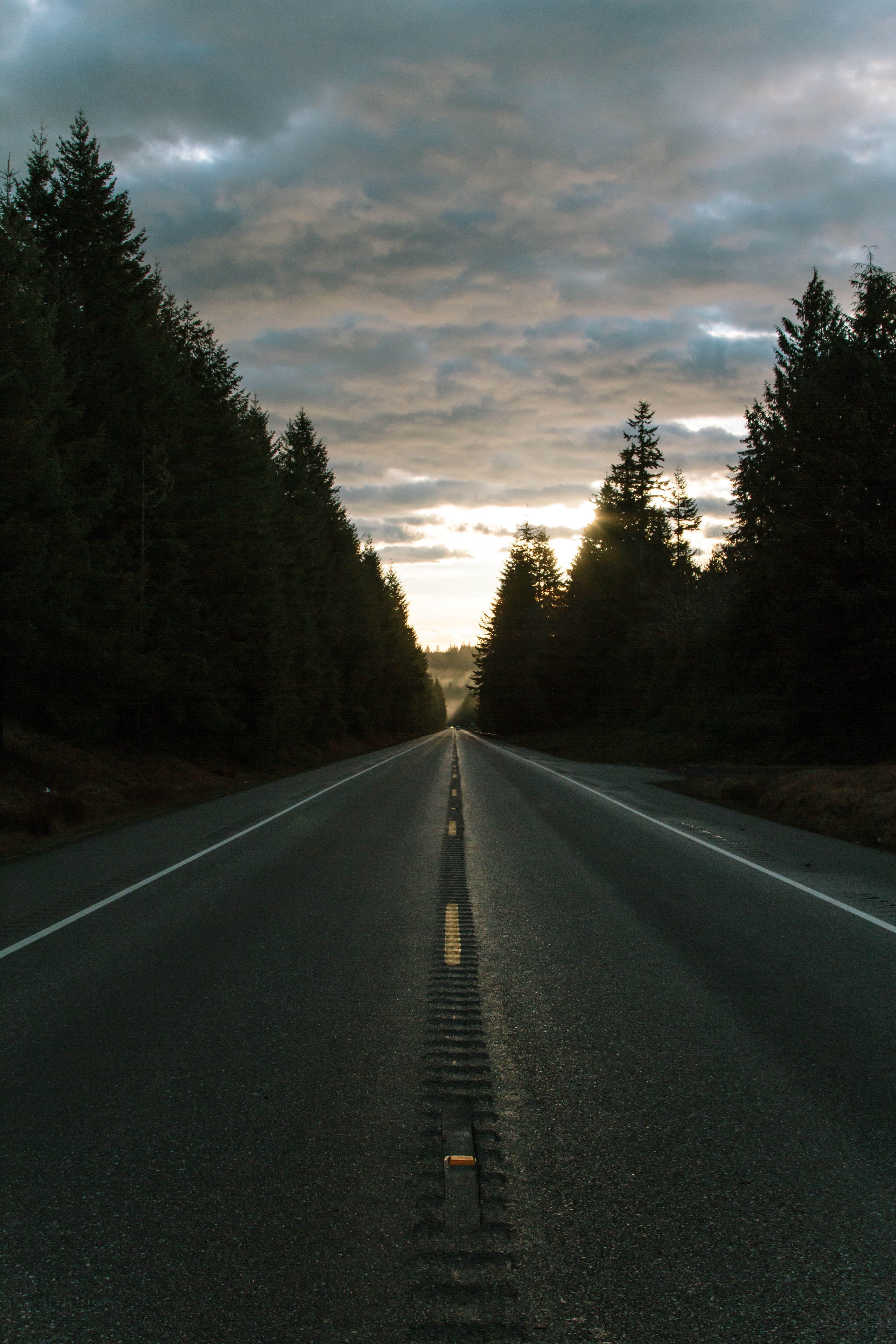 3456x5184 road #dirt road #gravel #trees #beside #road trees beside road. Journey picture, Picture, Travel