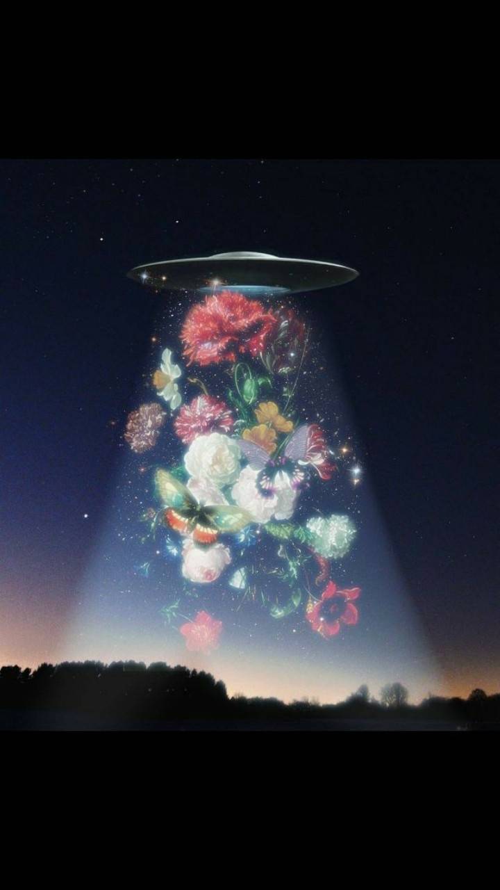 720x1280 UFO FLOWERS wallpaper