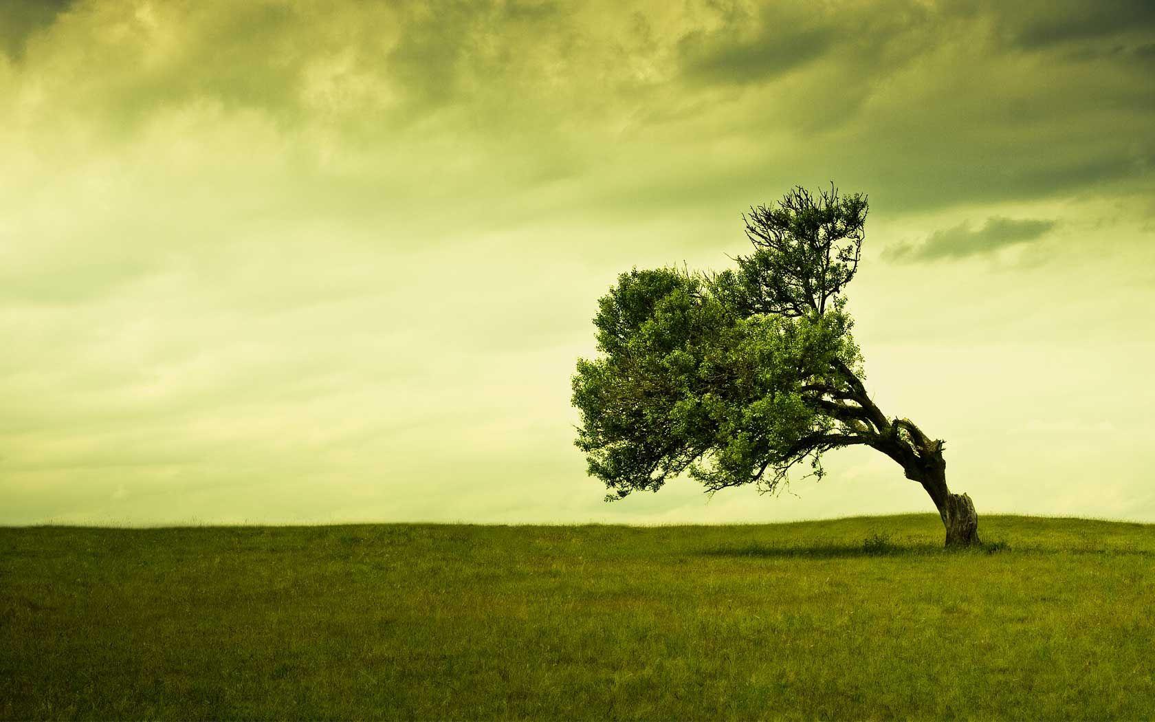 1680x1050 Eye Friendly Desktop Background Wallpaper .