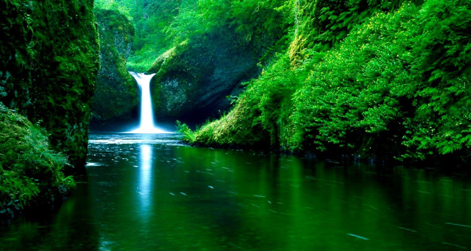 1520x810 Green Wallpaper HD Good For Eyes