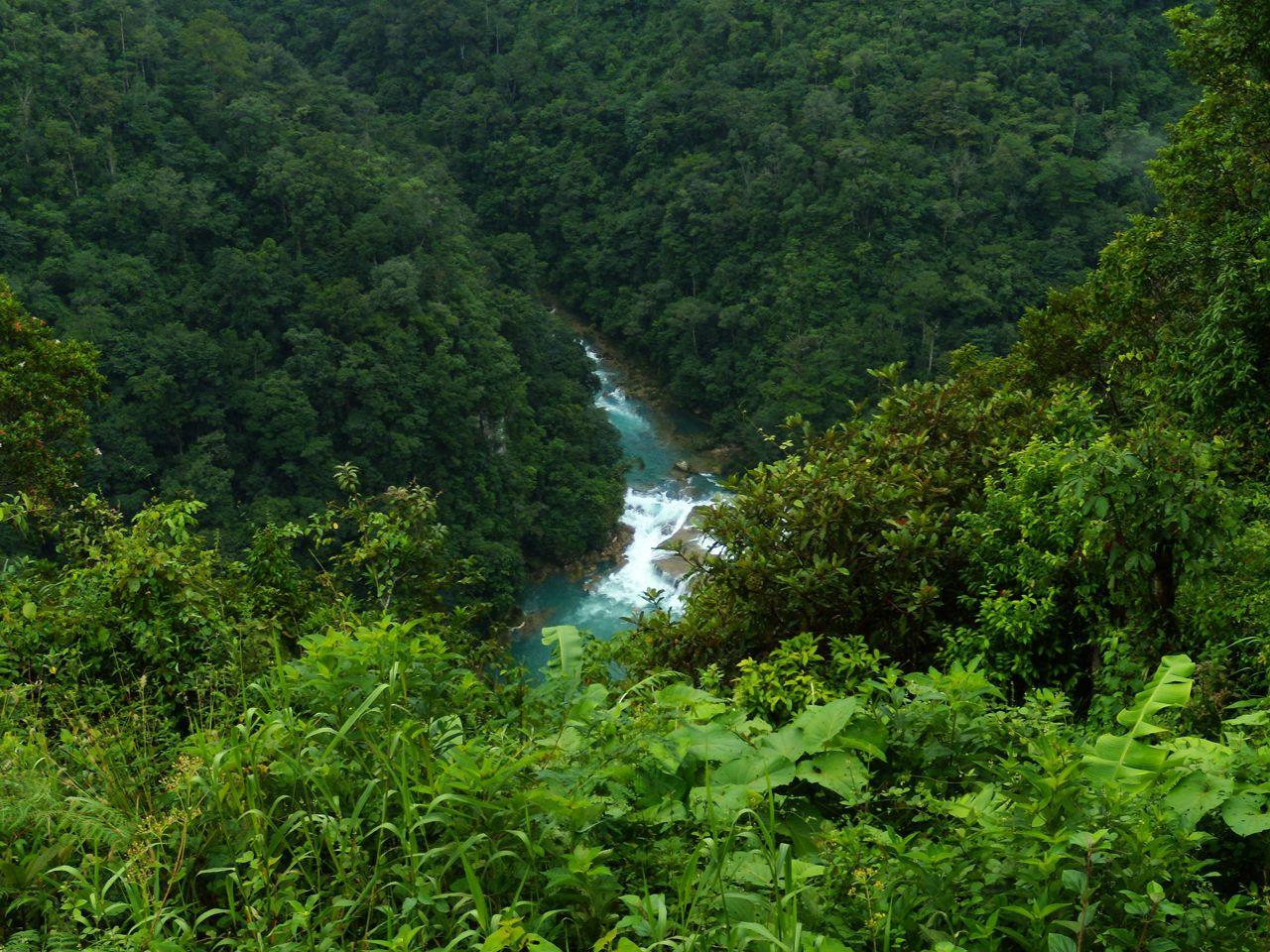 1280x960 Green Nature Friendly Wallpaper To Get Inspiration