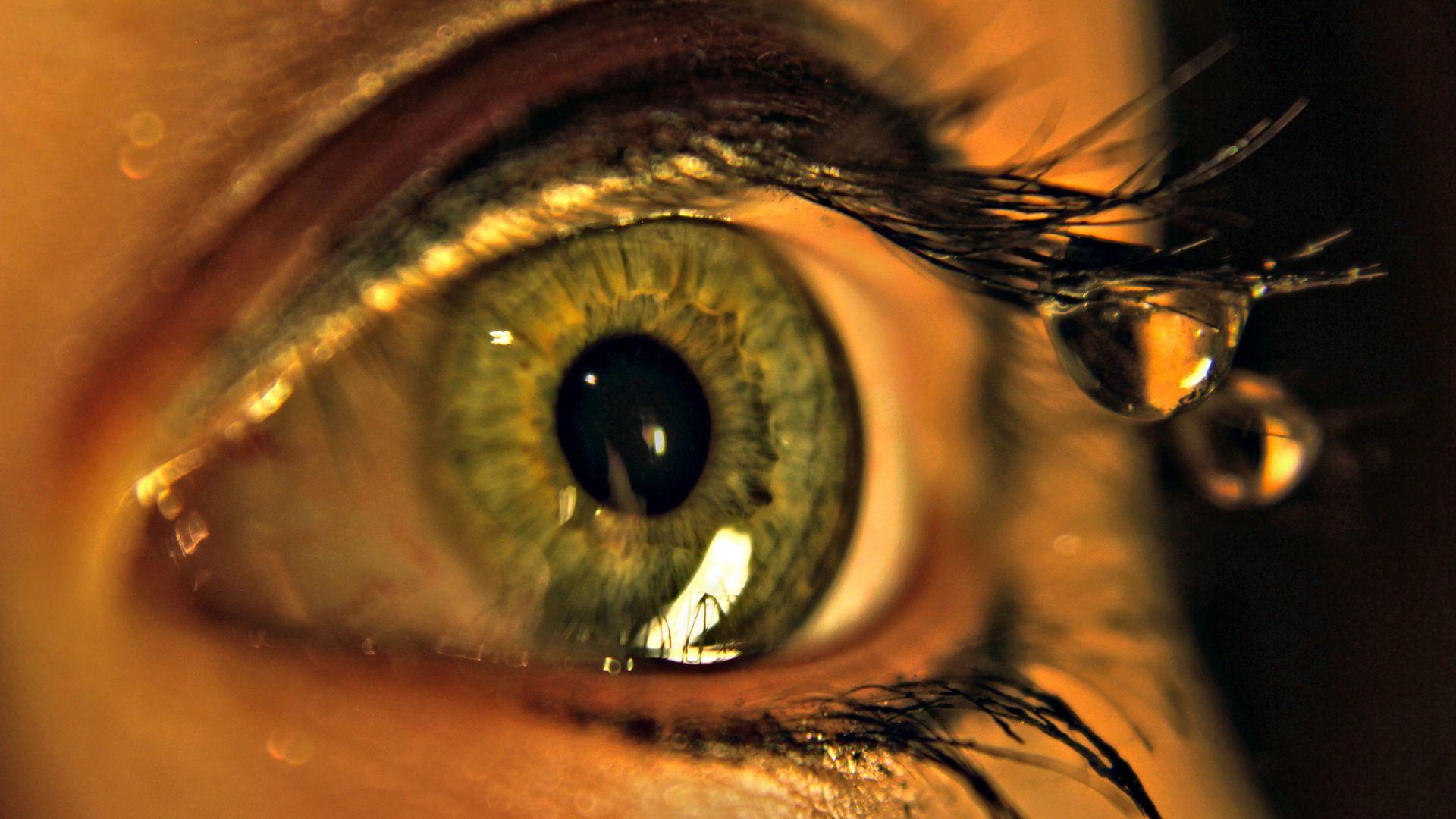 1920x1080 Download wallpaper 1920x1080 eye, drops, macro, eyelashes full hd, hdtv, fhd, 1080p HD background