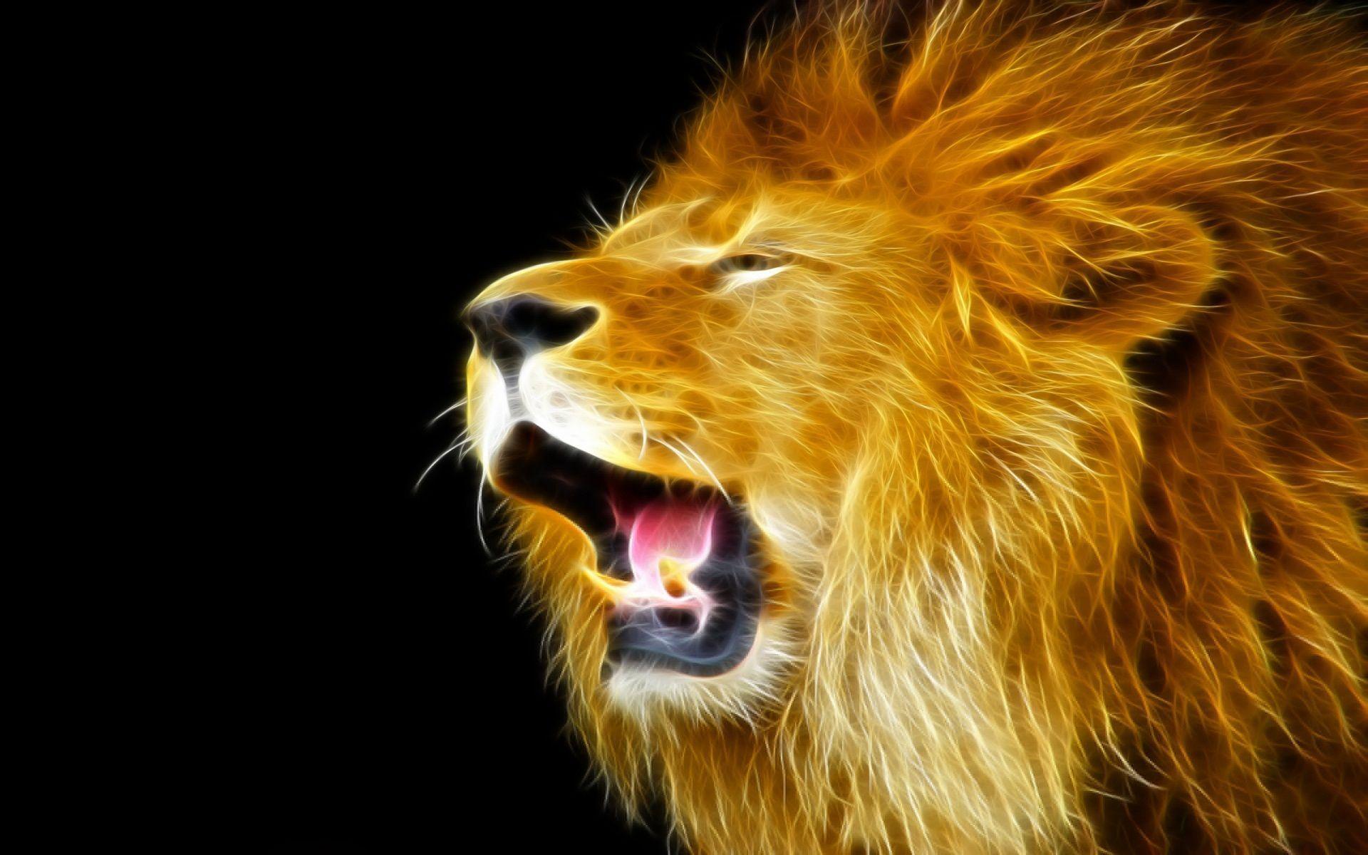 1920x1200 Lion, HD Photo, Efstathios Gaffon