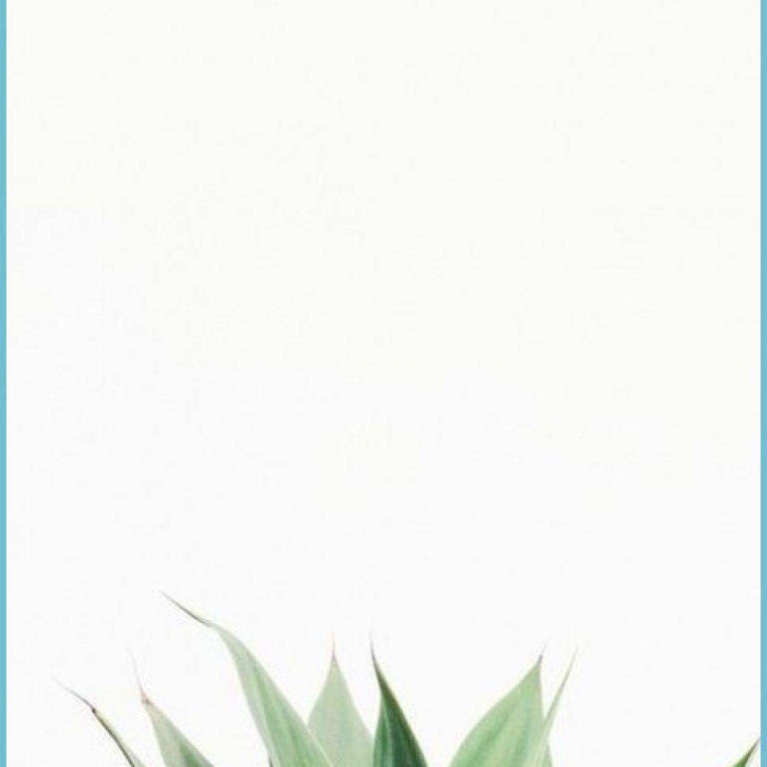 1536x1536 IPhone, Minimal, White -Wallpaper Plant Wallpaper, White Minimal Wallpaper