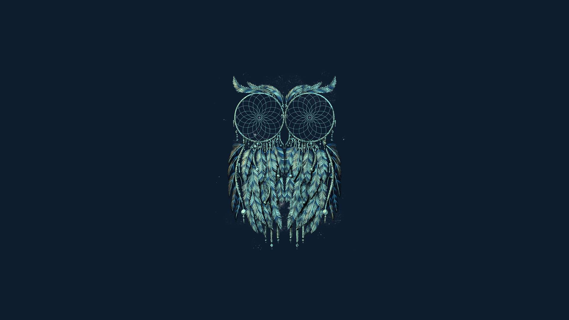 1920x1080 Owl Image HD Wallpaper
