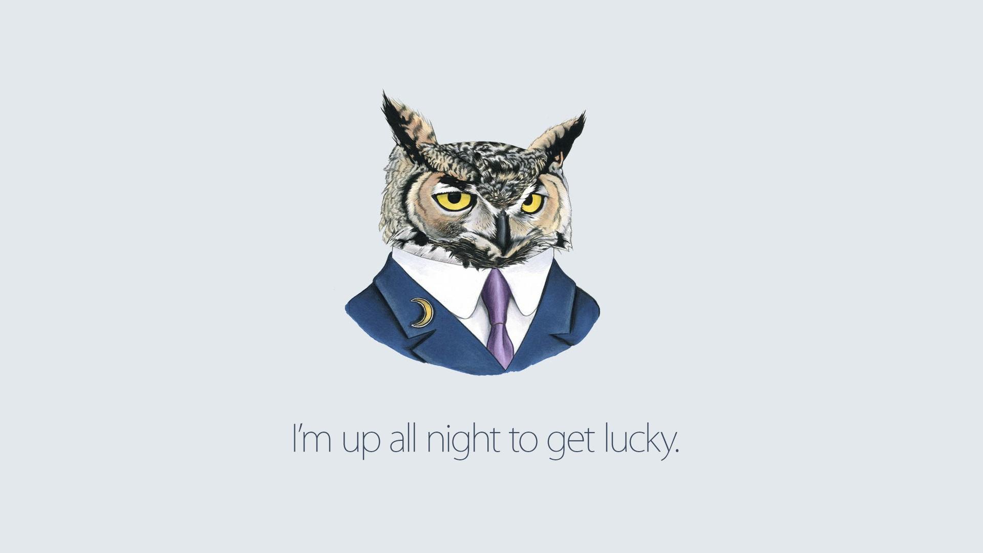 1920x1080 owl, art, inspiration Wallpaper, HD Vector 4K Wallpaper, Image, Photo and Background