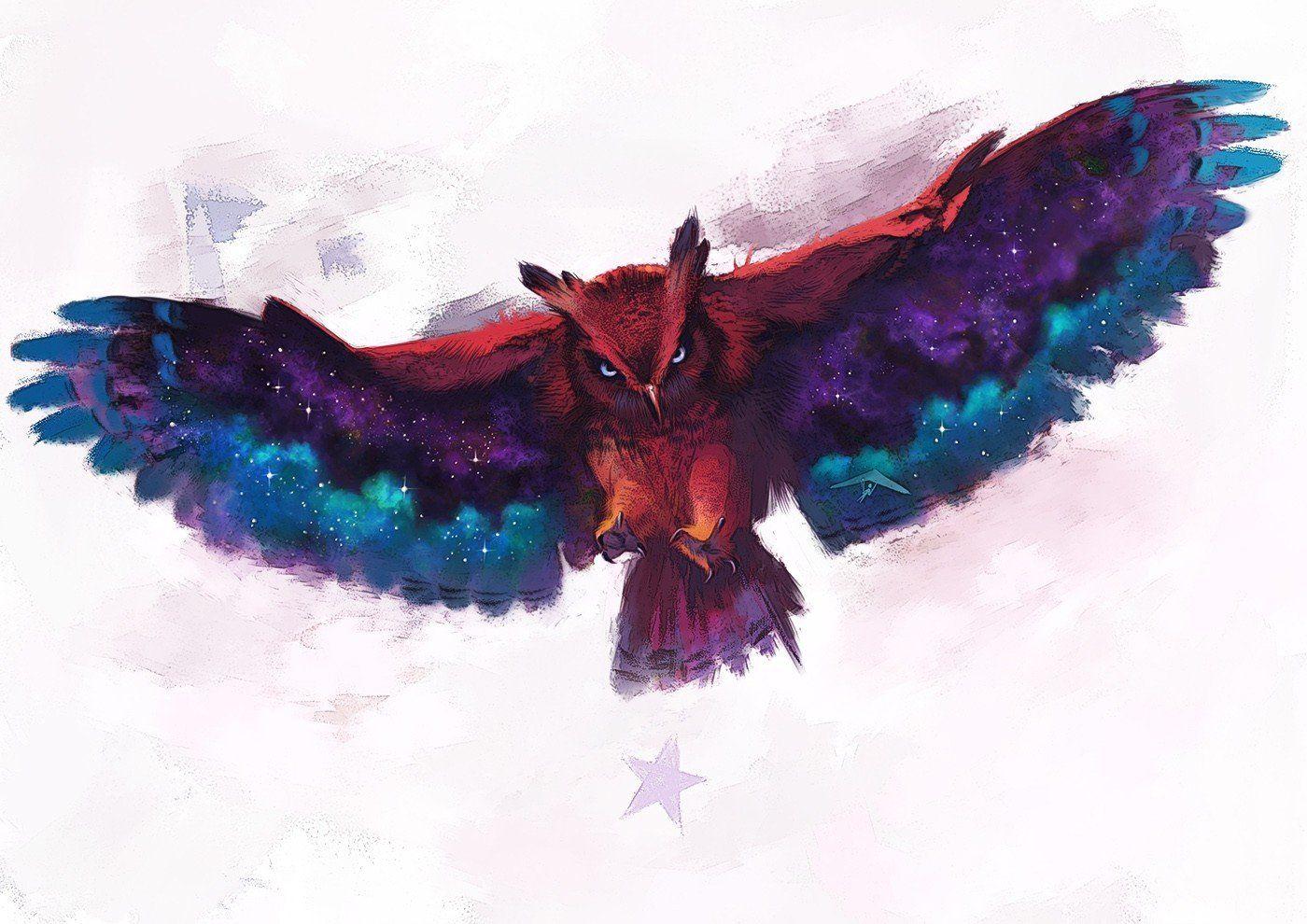 1400x990 owl, Digital art HD Wallpaper / Desktop and Mobile Image & Photo